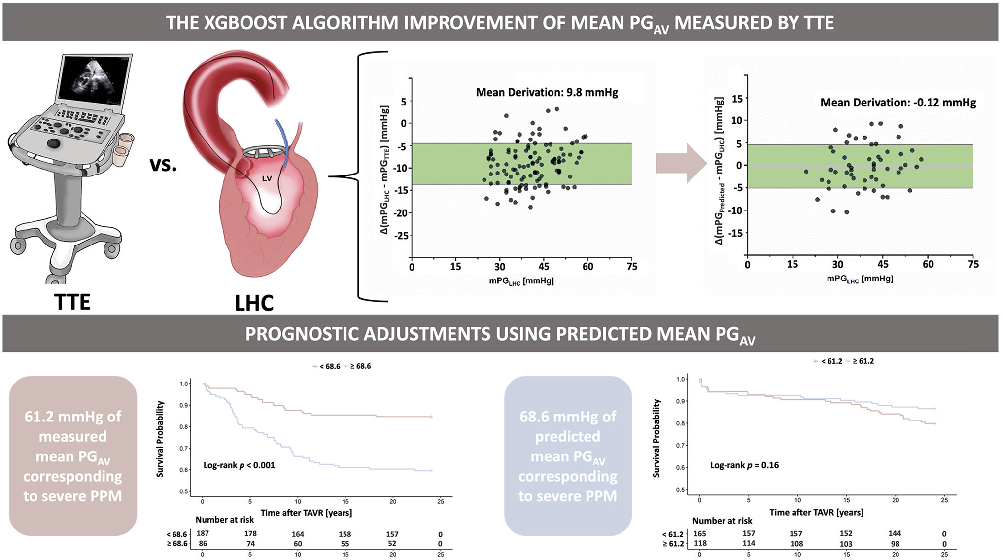 Clinical significance of machine learning algorithm in predicting PPM during TAVR in small annuli