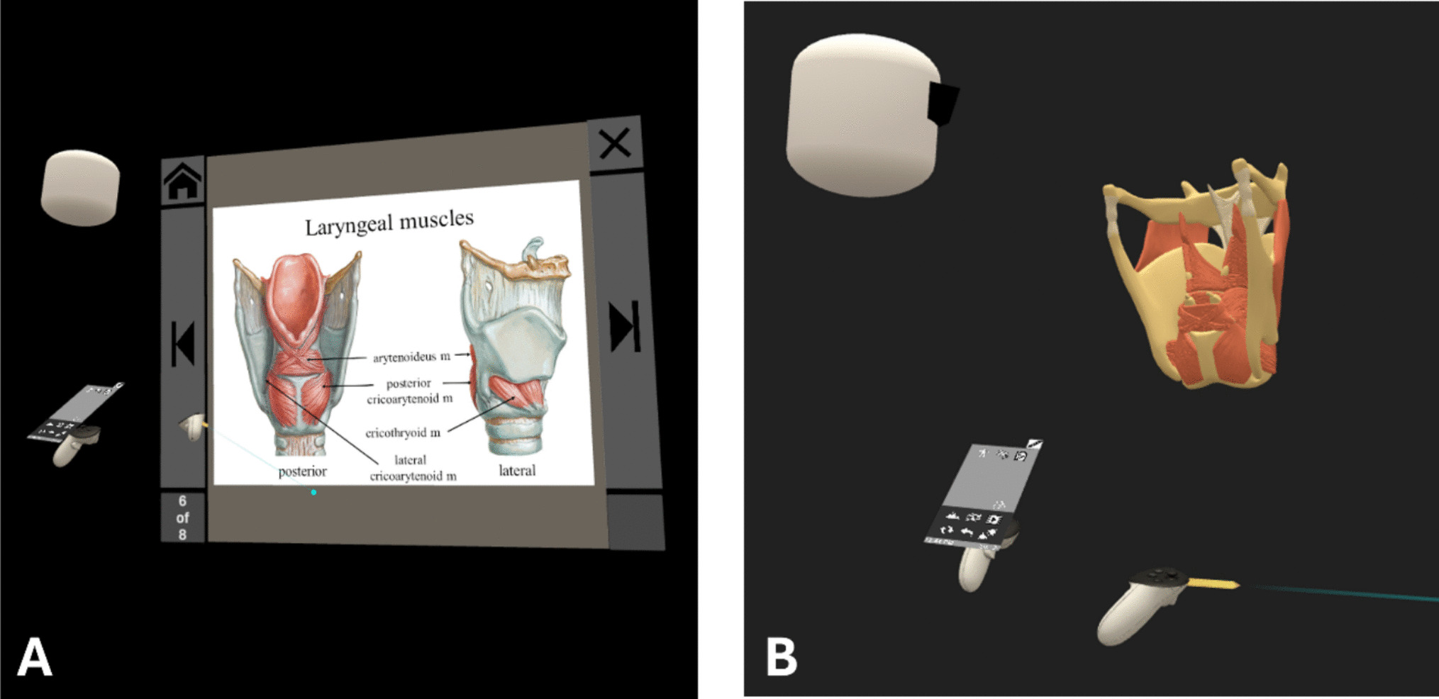 Cognitive Load in Virtual Reality Anatomy Education: Comparing 2D and 3D Learning Experiences