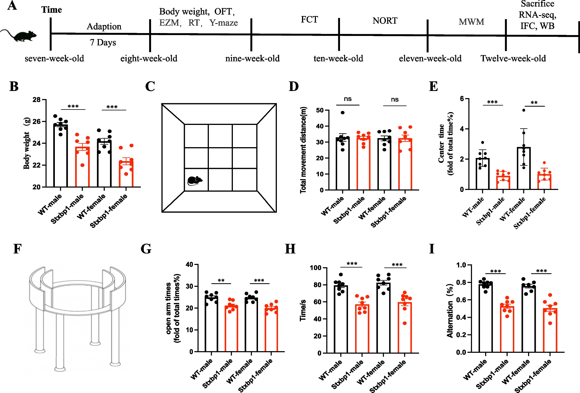 Cognitive and Motor Dysfunction in STXBP1 R406H Mice