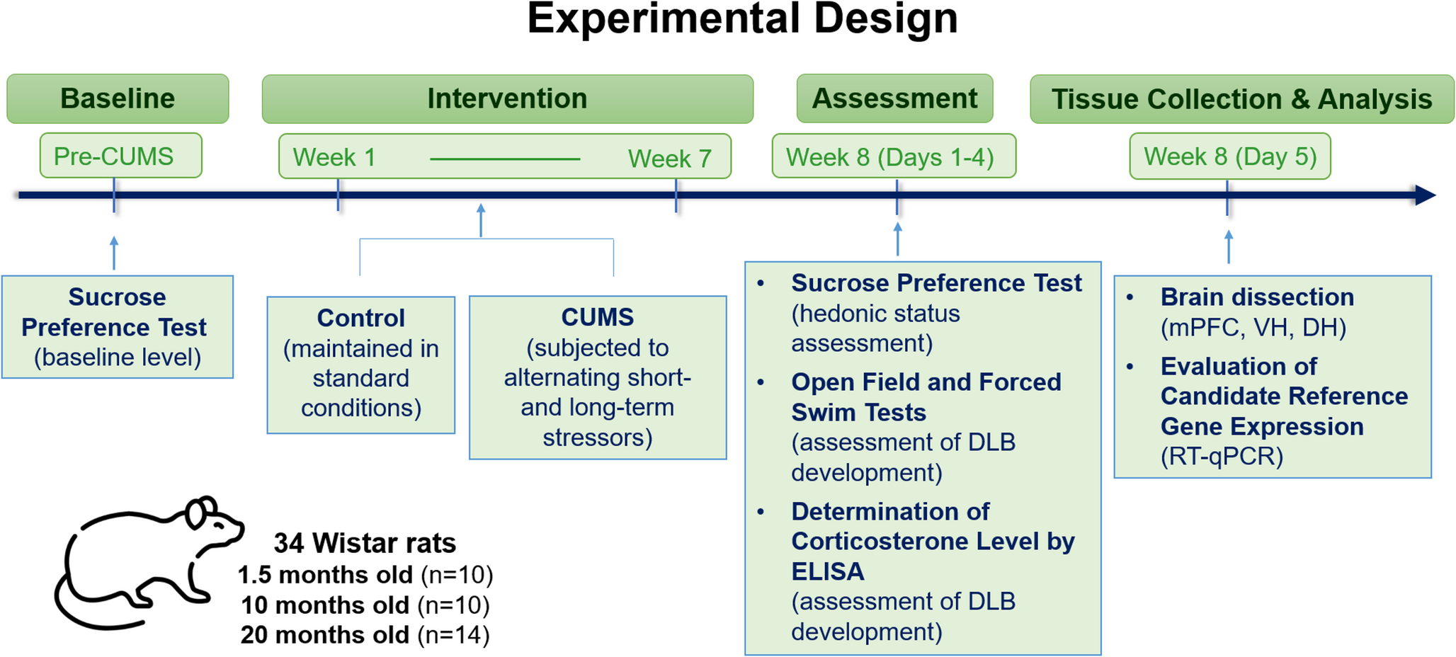 The Expression Patterns of Reference Genes in the Brains of Male Rats Subjected to CUMS-induced Depressive-like Behavior Strongly Depends on both the Age and the Specific Brain Region