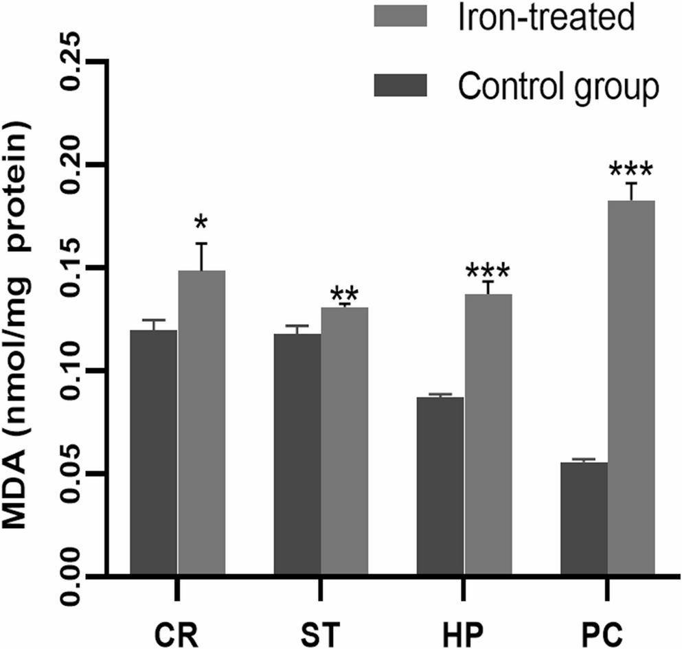 Subacute Iron Exposure in Rats Induces Behavioral Impairments, Oxidative Stress, and Histopathological Alterations