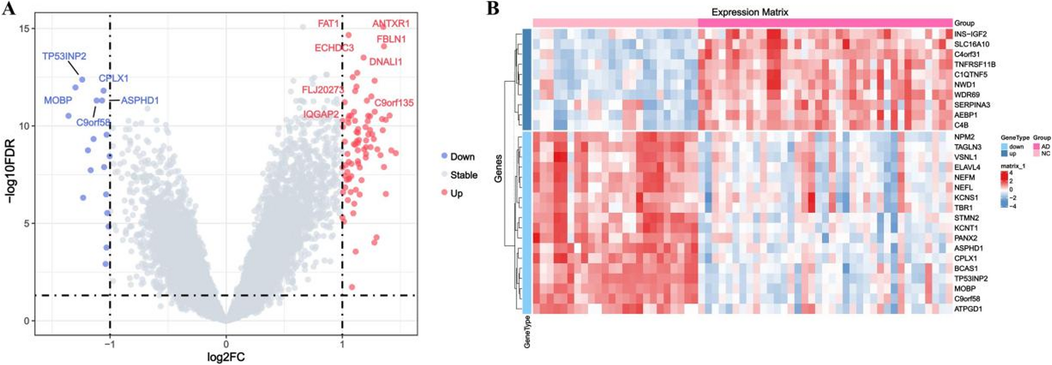 PRDX6 as a Ferroptosis-Related Hub Gene in the Entorhinal Cortex of Alzheimer’s Disease: A Multidimensional Bioinformatics and Experimental Validation Study