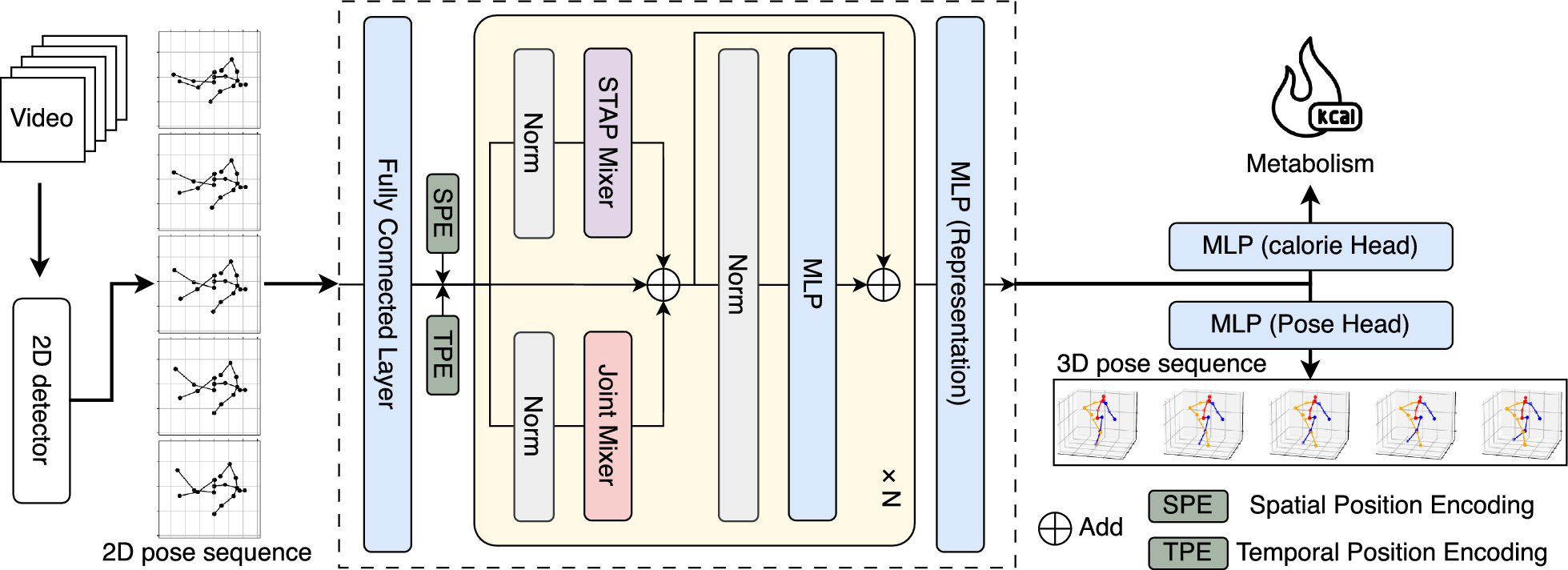 Pose2met: a unified spatiotemporal framework for 3D human pose estimation and energy expenditure estimation