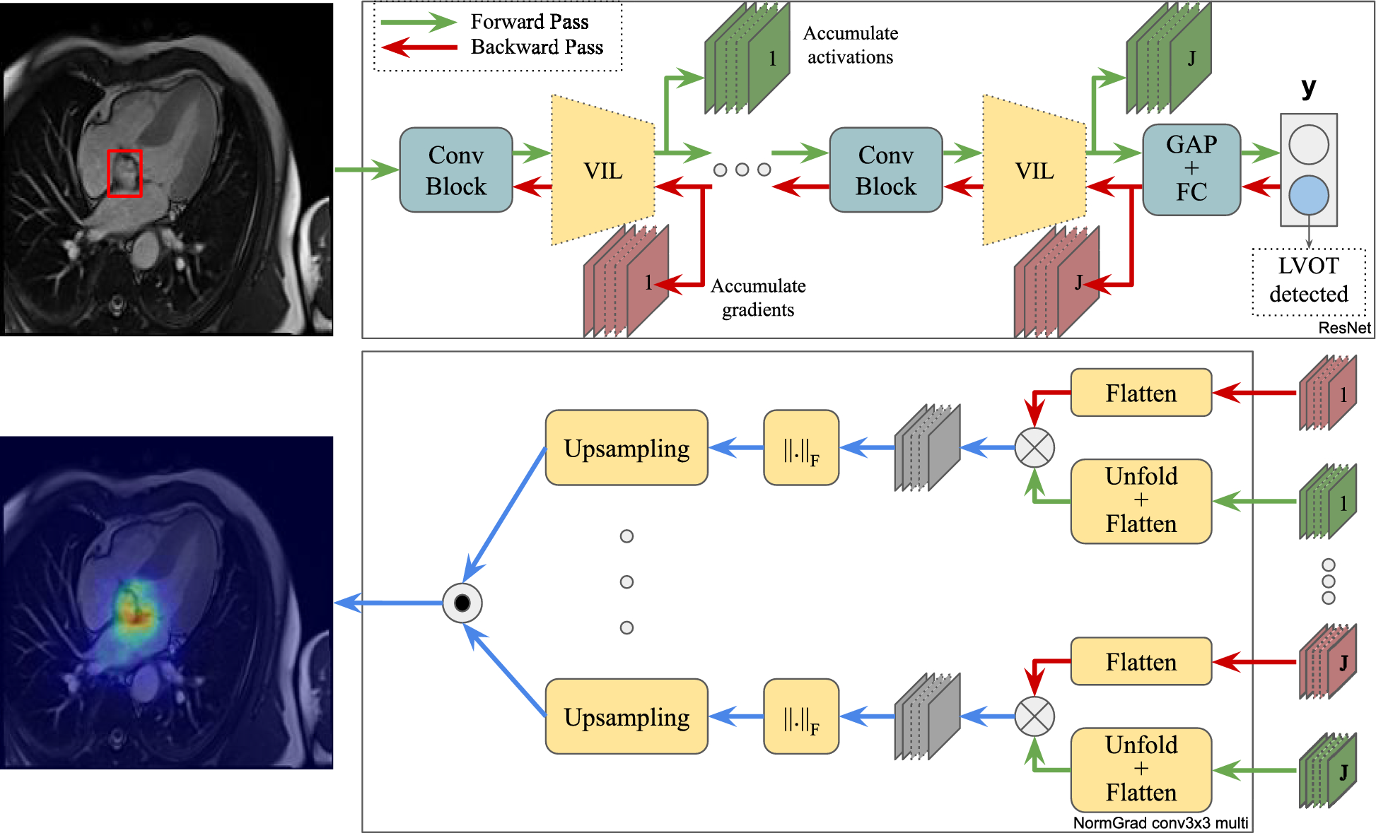 Consistent explainable image quality assessment for medical imaging