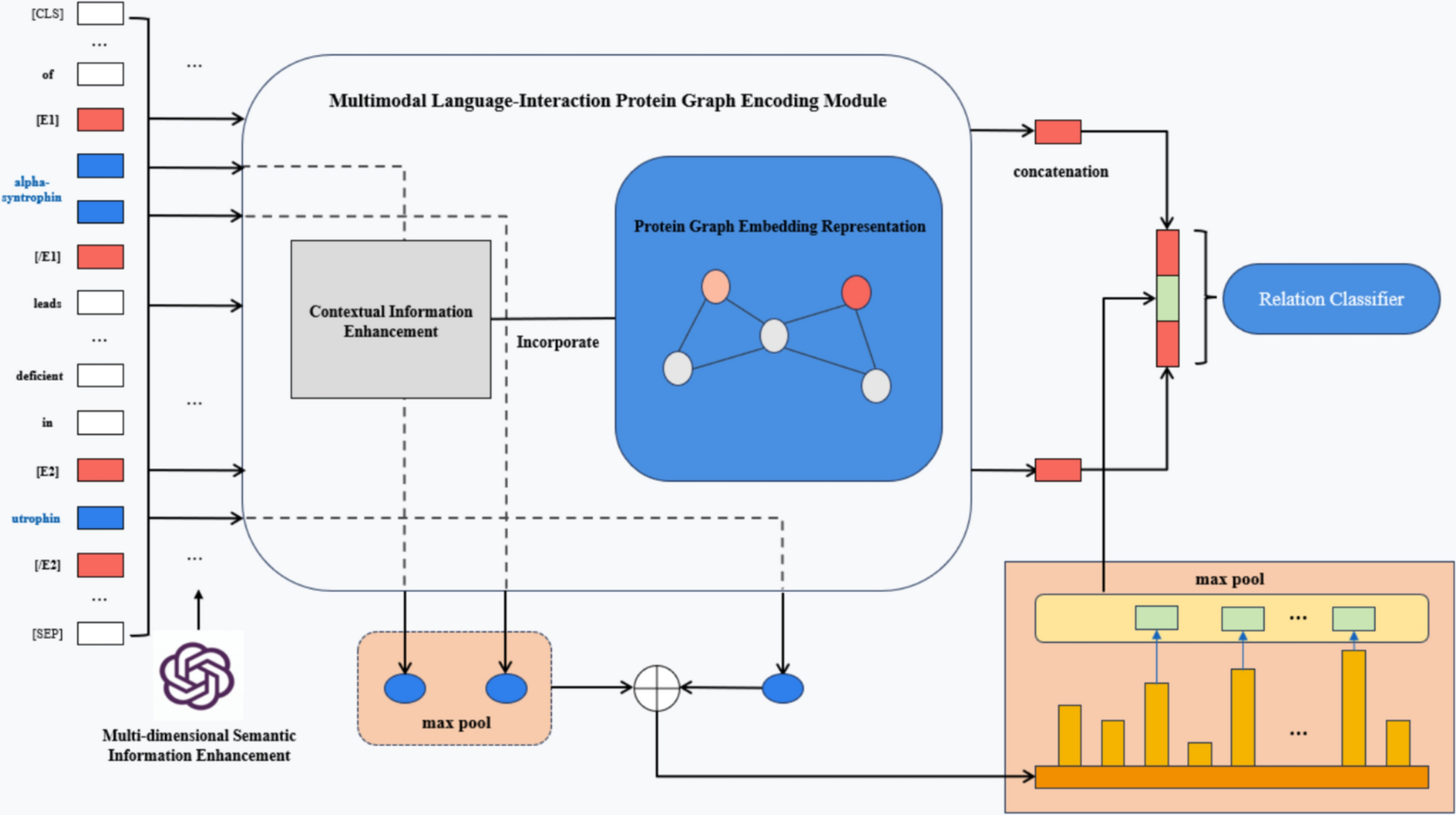Protein–protein interaction extraction enhanced by entity semantic representation