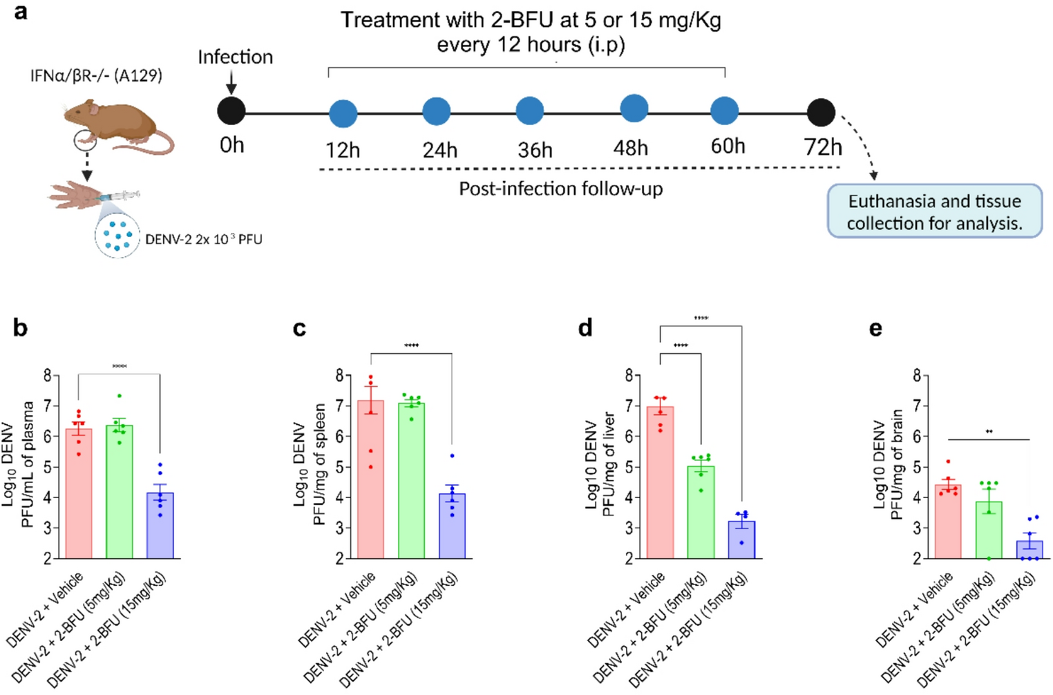 The 2′-α-Fluoro,2′-β-Bromo uridine phosphoramidate prodrug (2-BFU) reduces dengue virus replication and attenuates infection-induced thrombocytopenia