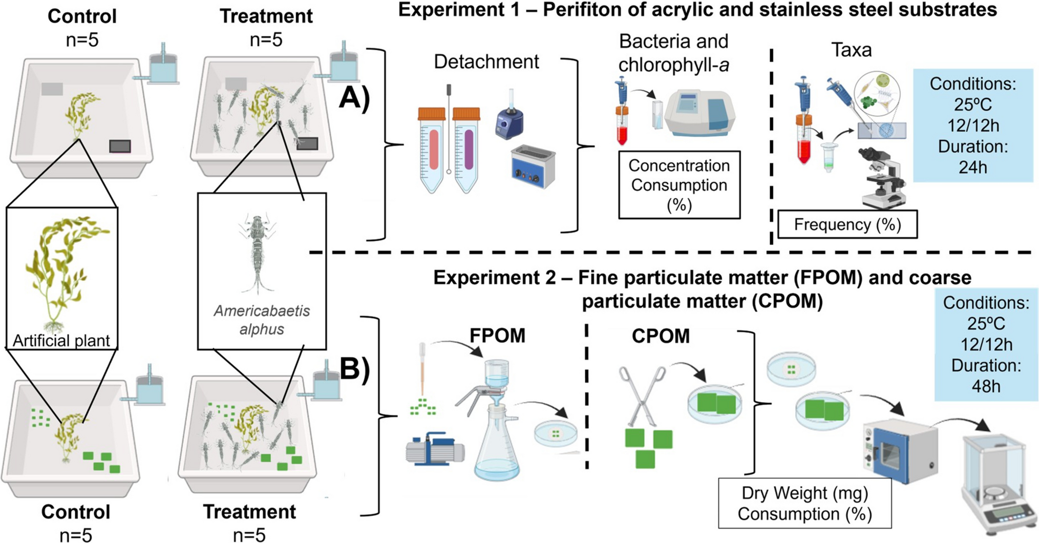 Preference by the Nymphs of  Lugo-Ortiz & McCafferty, 1996 (Baetidae: Ephemeroptera) for Feeding substrate and Food Size Under Laboratory Conditions
