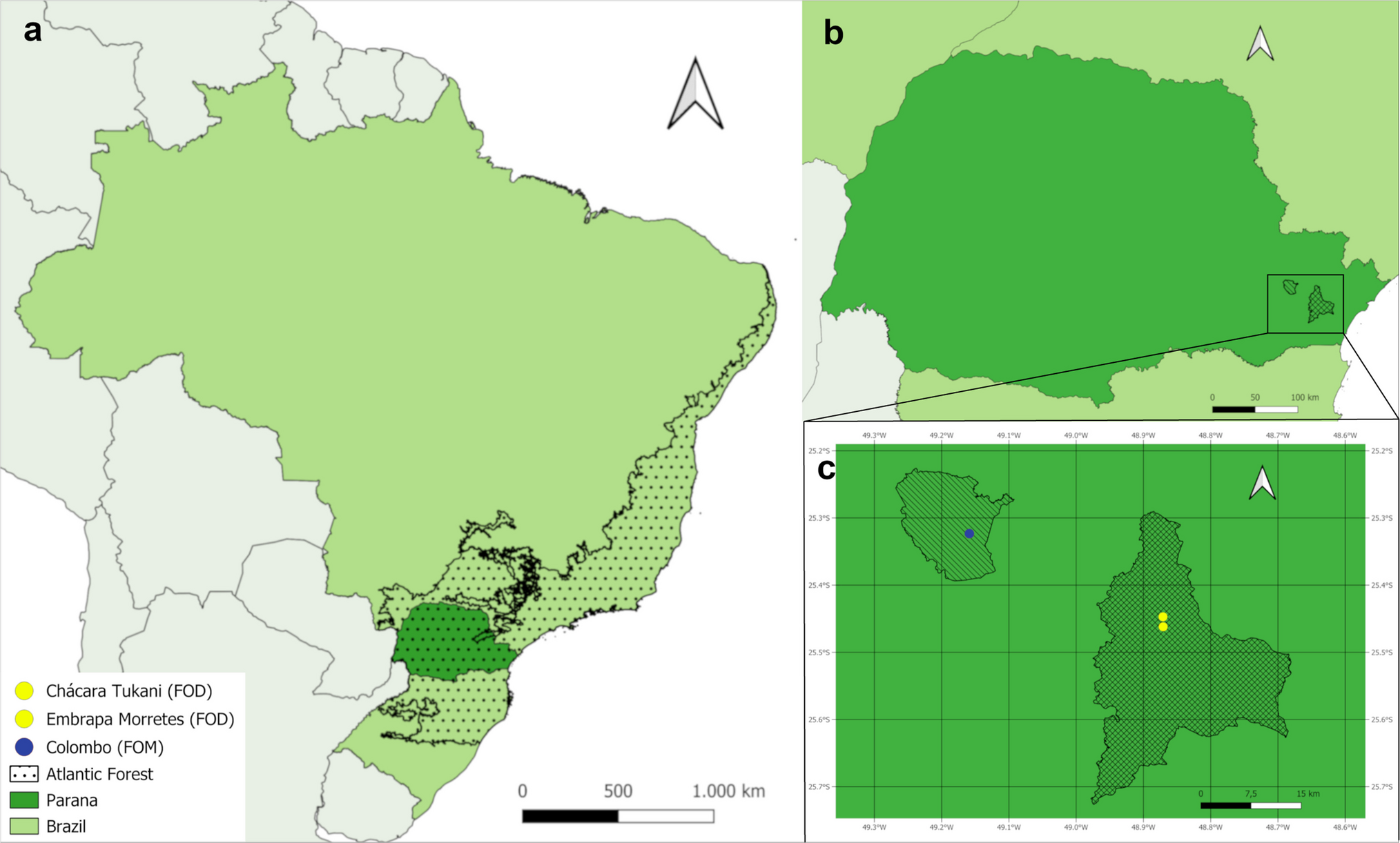 Ants as Flower Visitors: Diversity and Network Structure Assessed for the First Time in the Atlantic Forest of Southern Brazil