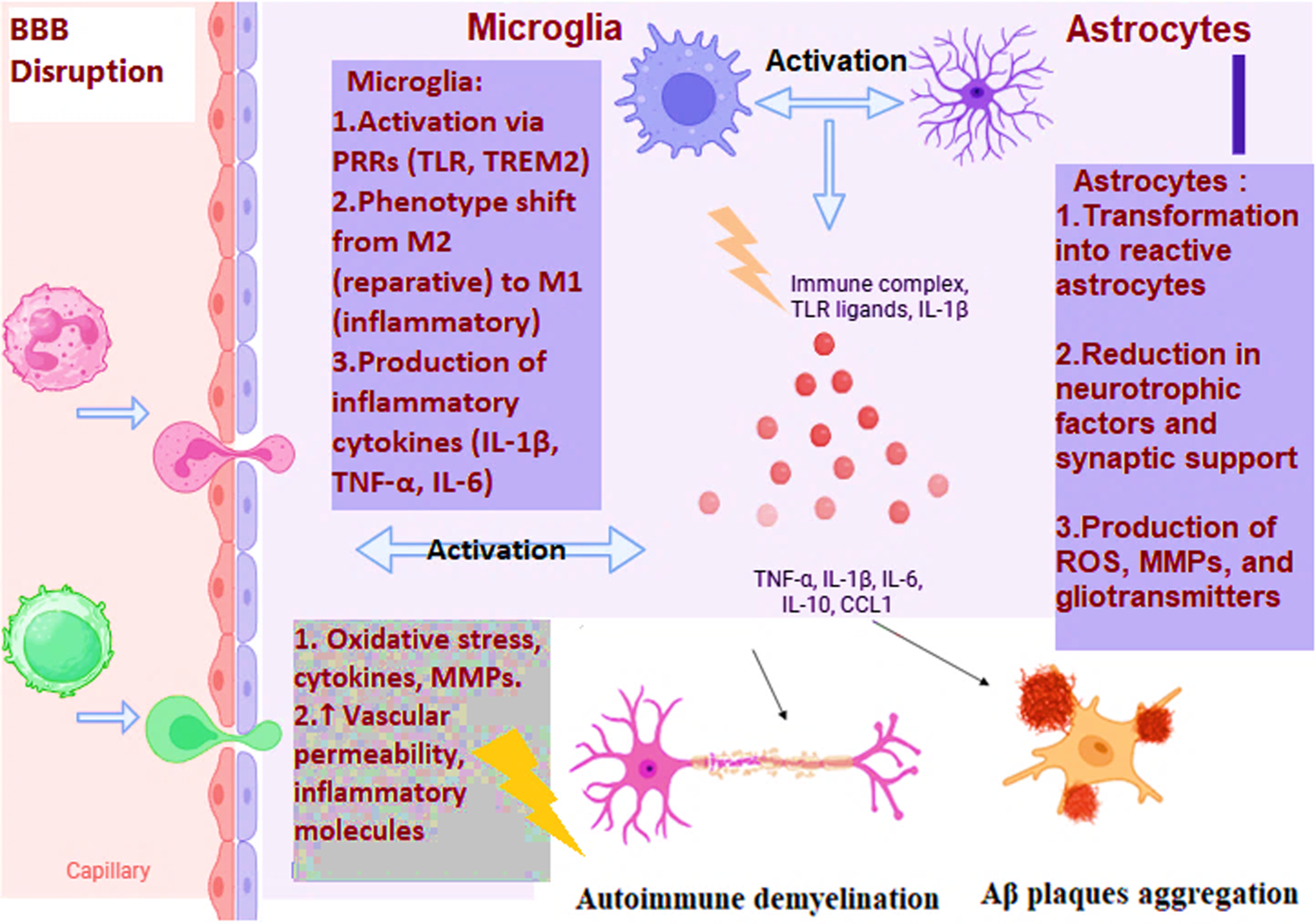 Immunomodulatory effects of anesthetic drugs and their implications in neurodegenerative disease progression
