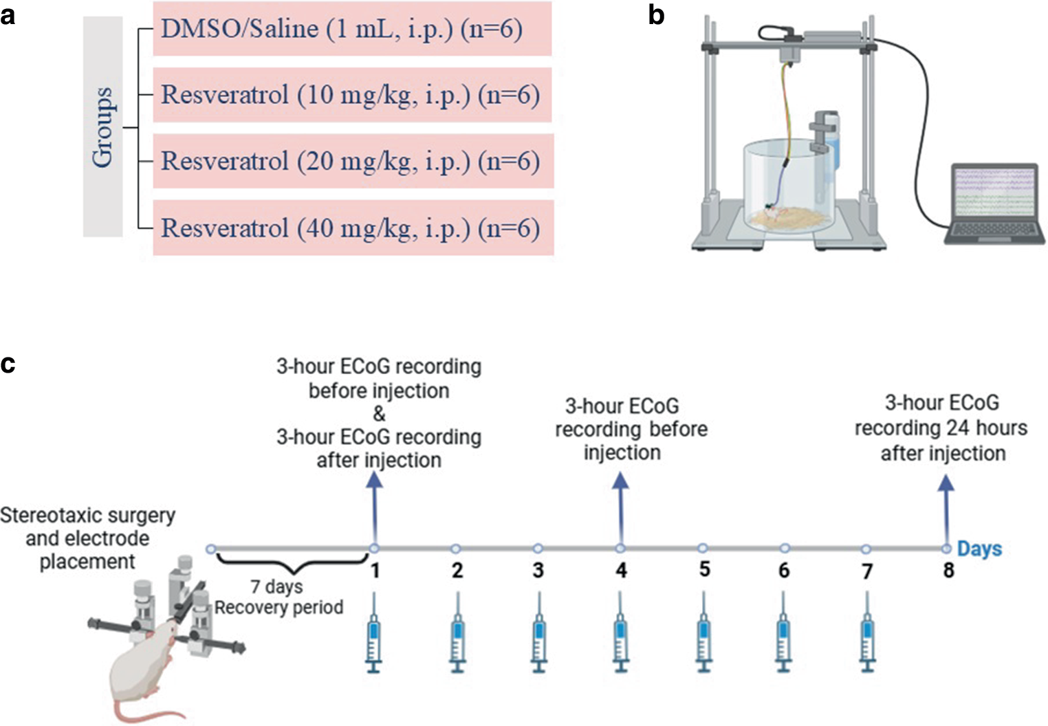 Resveratrol exacerbates spike-wave discharges in genetic absence epileptic WAG/Rij rats