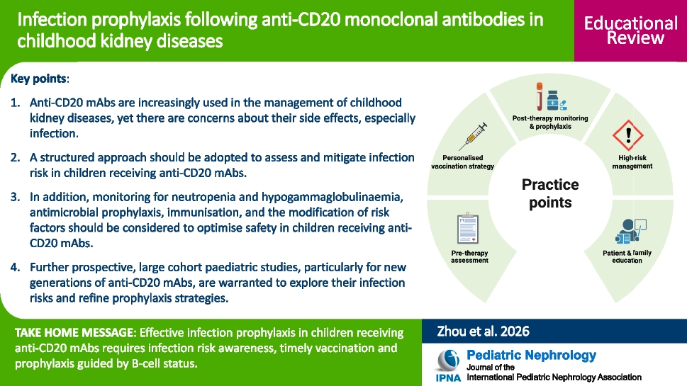 Infection prophylaxis following anti-CD20 monoclonal antibodies in childhood kidney diseases