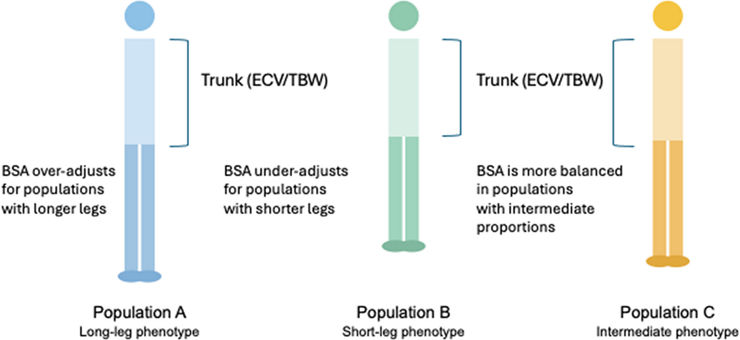 Globalizing GFR: integrating sitting height and extracellular volume into pediatric and adult assessment
