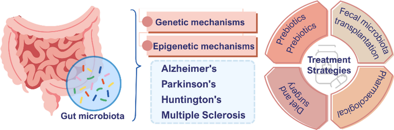 The relationship between gut microbiota and neurodegenerative diseases: a genetic and epigenetic perspective