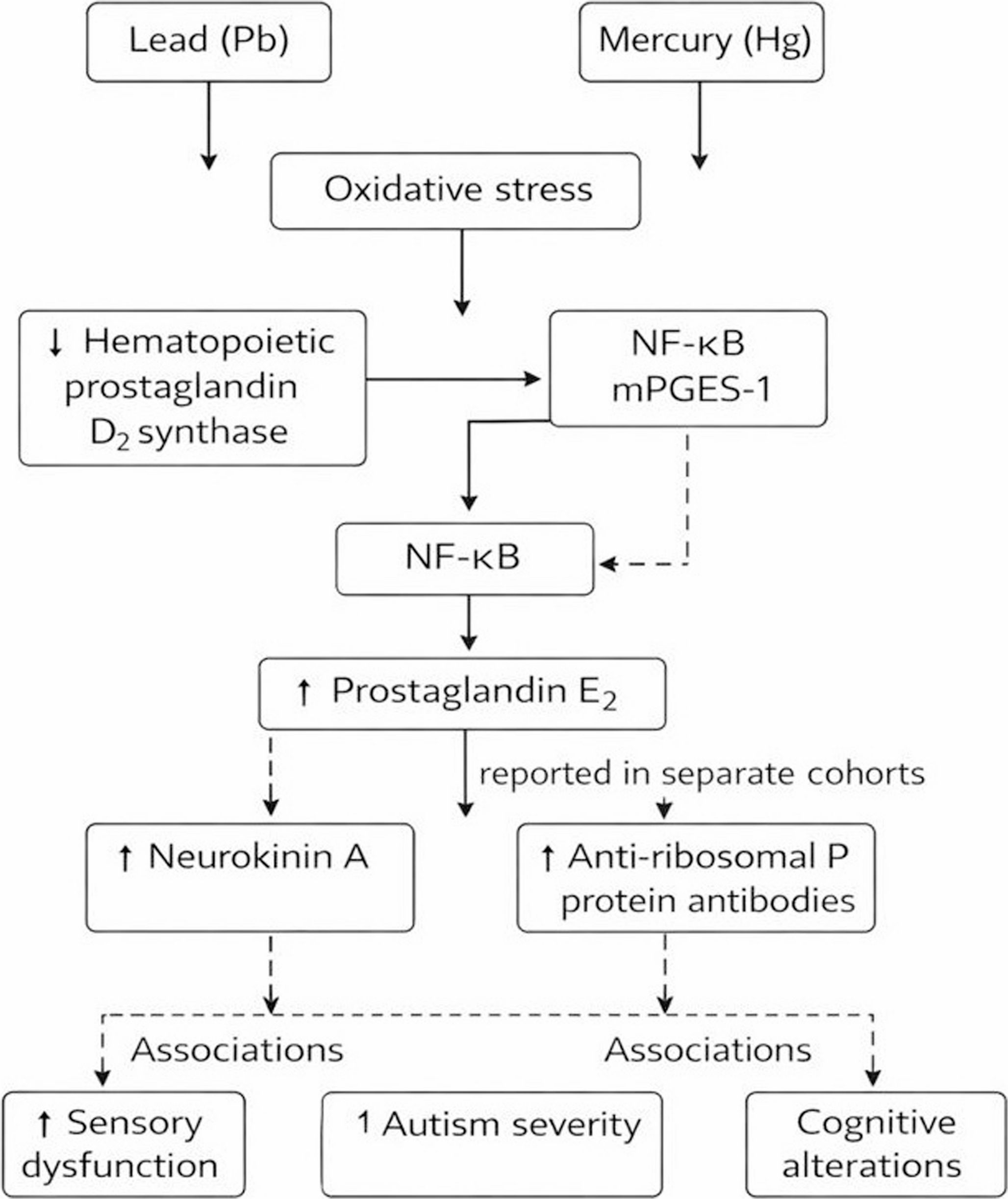 Environmental metals, prostaglandin pathways, and immune-mediated neuroinflammation in autism spectrum disorder: A secondary analysis of peripheral biomarker studies