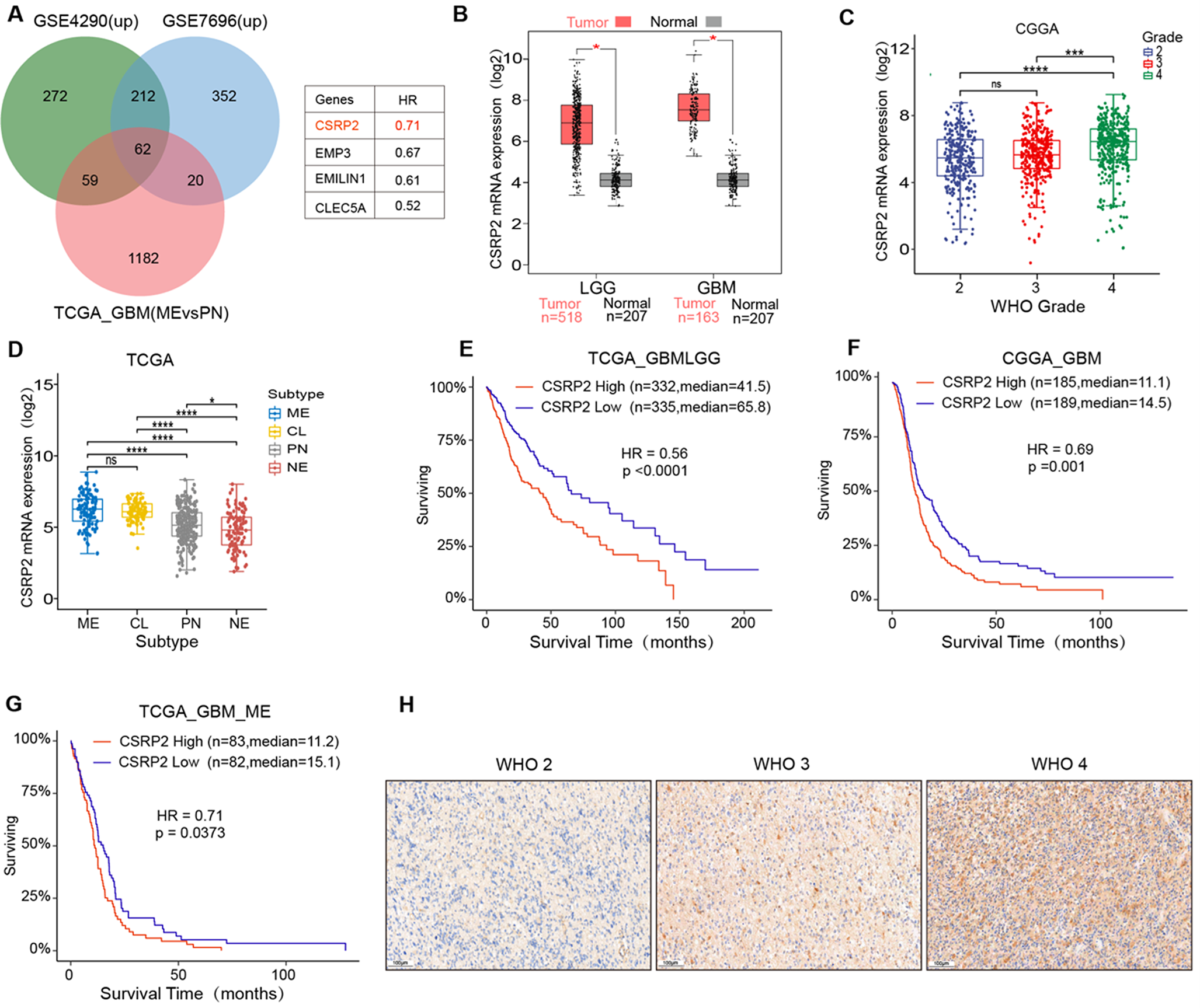CSRP2 modulates PDGFRA/PI3K/AKT signaling via PRC1 components in glioma