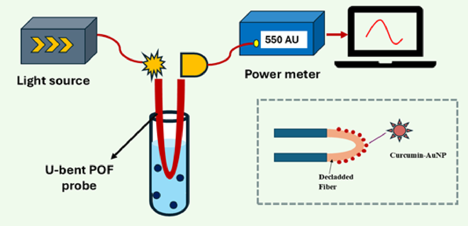 Detection of fluoride ion using U-bent optical fiber functionalized with curcumin-tagged gold nanoparticles