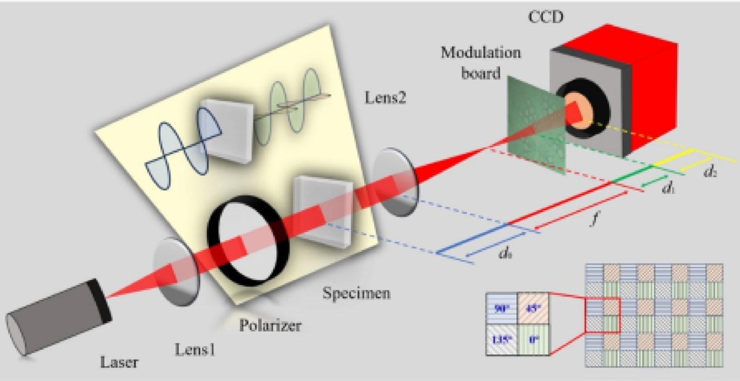 Single-shot polarization-coherent modulation imaging