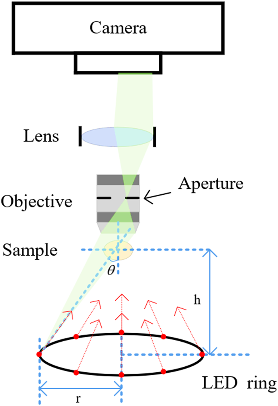 Intensity diffraction tomography compressed imaging based on residual neural fields