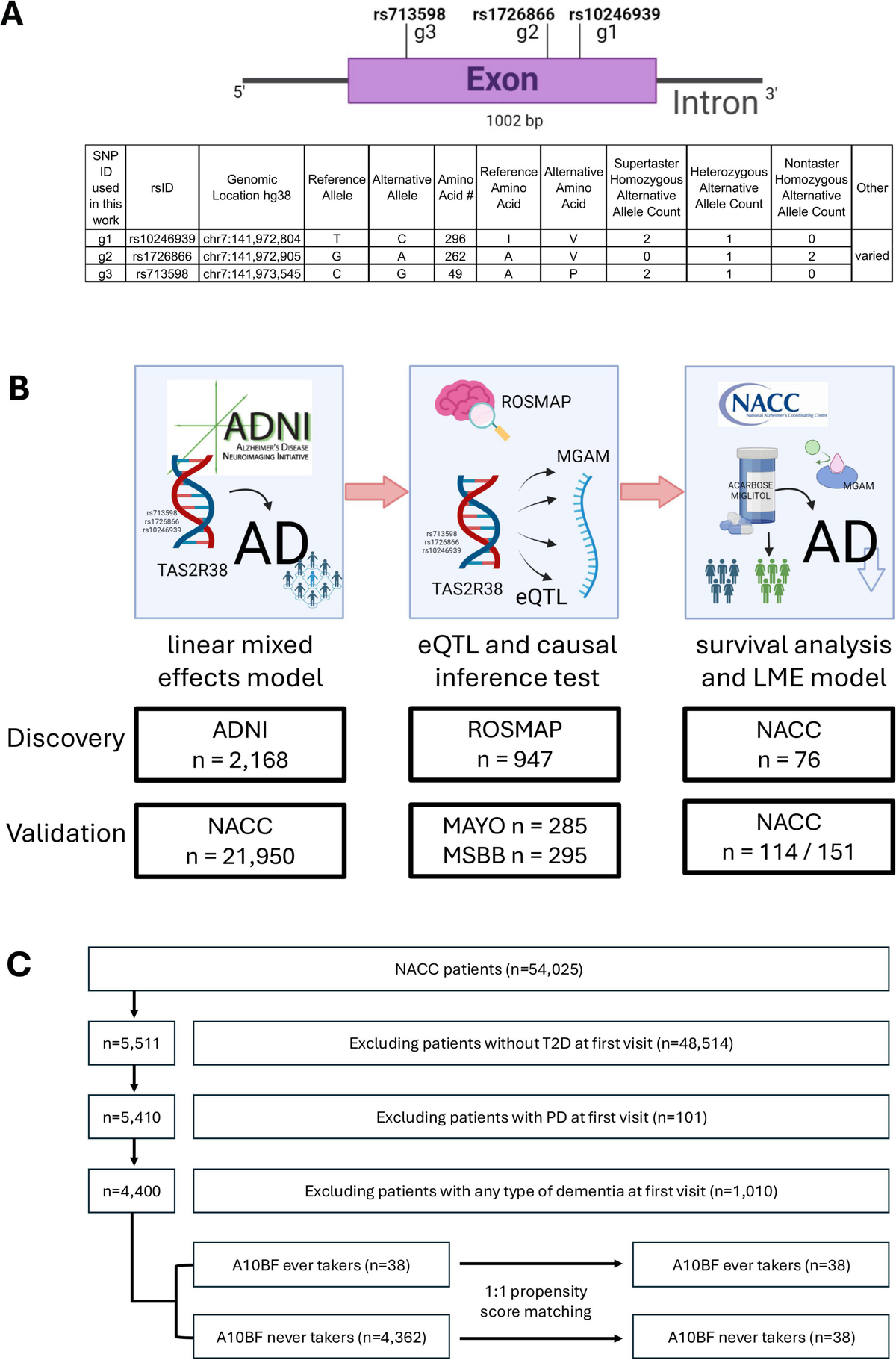 TAS2R38 taster variants-linked MGAM expression in Alzheimer’s disease: a novel target for precision drug repurposing