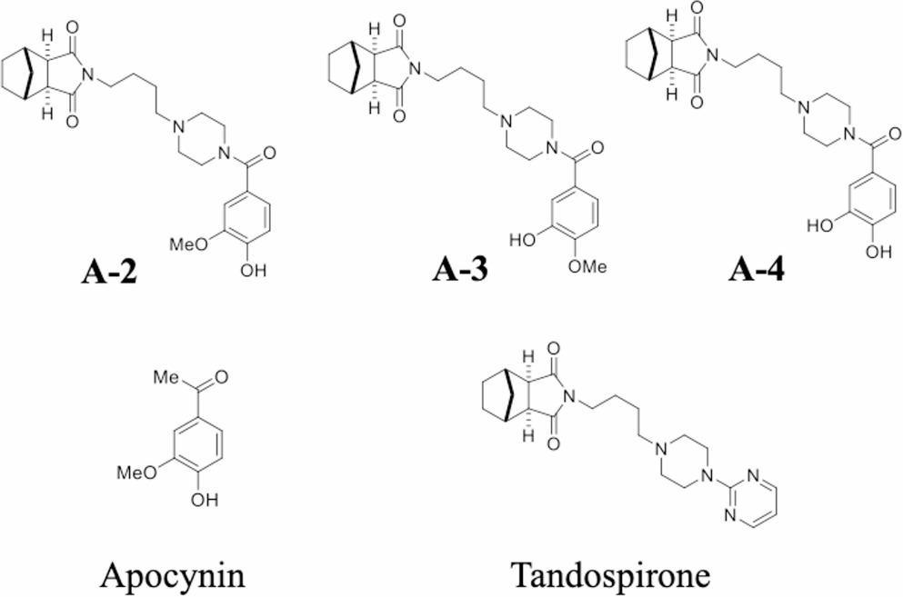 Acute apocynin-tandospirone derivatives (ATDs) exacerbate methamphetamine-induced hyperlocomotion in rats