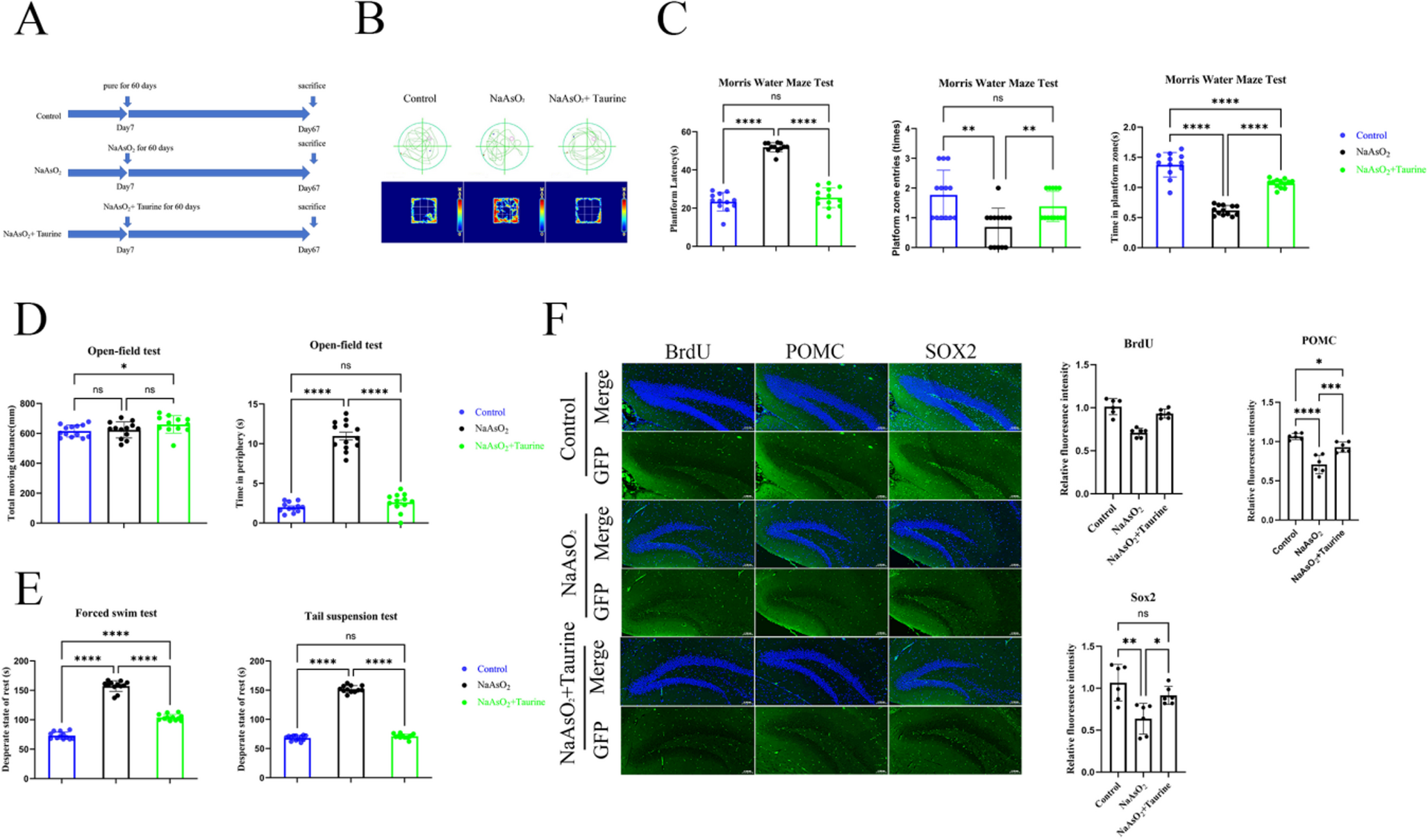 Taurine attenuates arsenic-induced neurotoxicity through modulation of gut microbiota structure