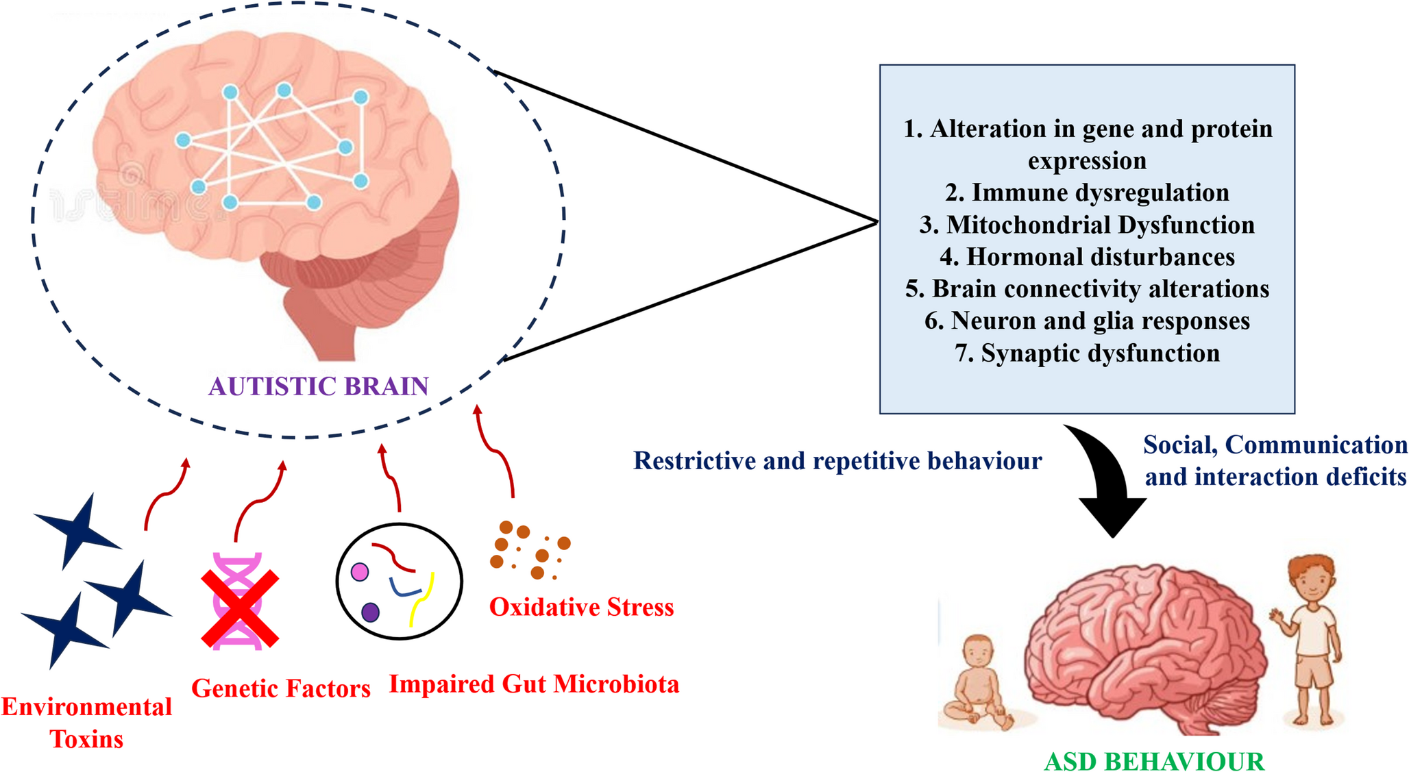Update on pharmacogenomic approaches in the treatment of autism spectrum disorders