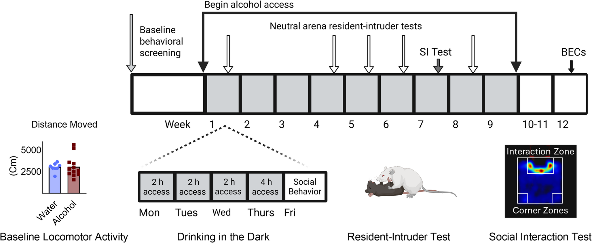 Aggression and repeated alcohol drinking-in-the-dark: dissecting subtypes in outbred mice