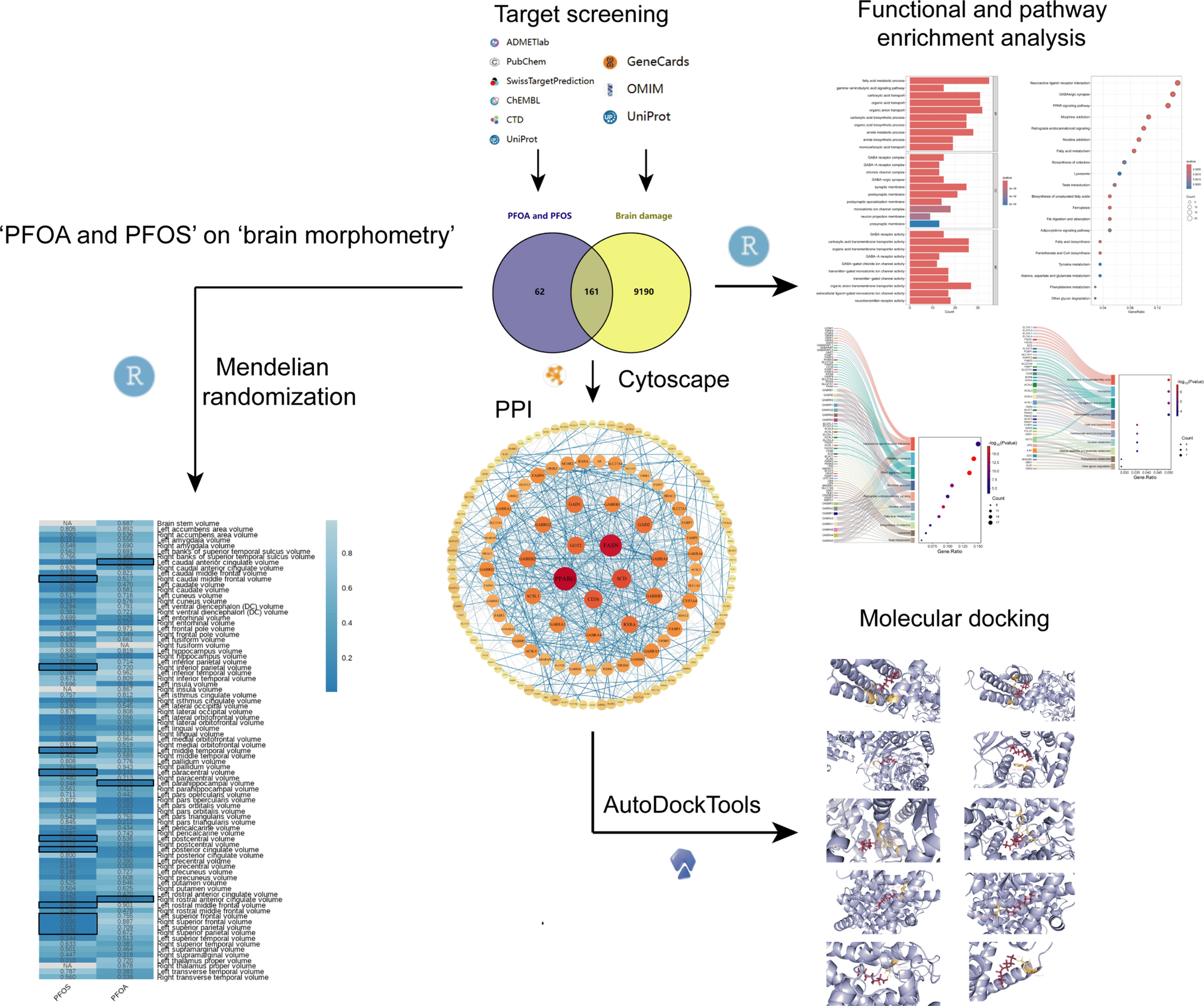 Neurotoxicity Mechanisms of Per- and Polyfluoroalkyl Substances: An Integrated Study of Network Toxicology, Molecular Docking, and Mendelian Randomization