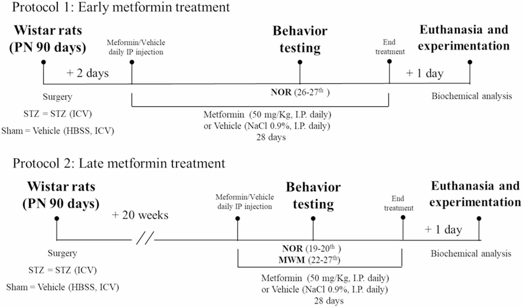 Neuroprotective Roles of Metformin in a Streptozotocin-Induced Dementia Model in Rats