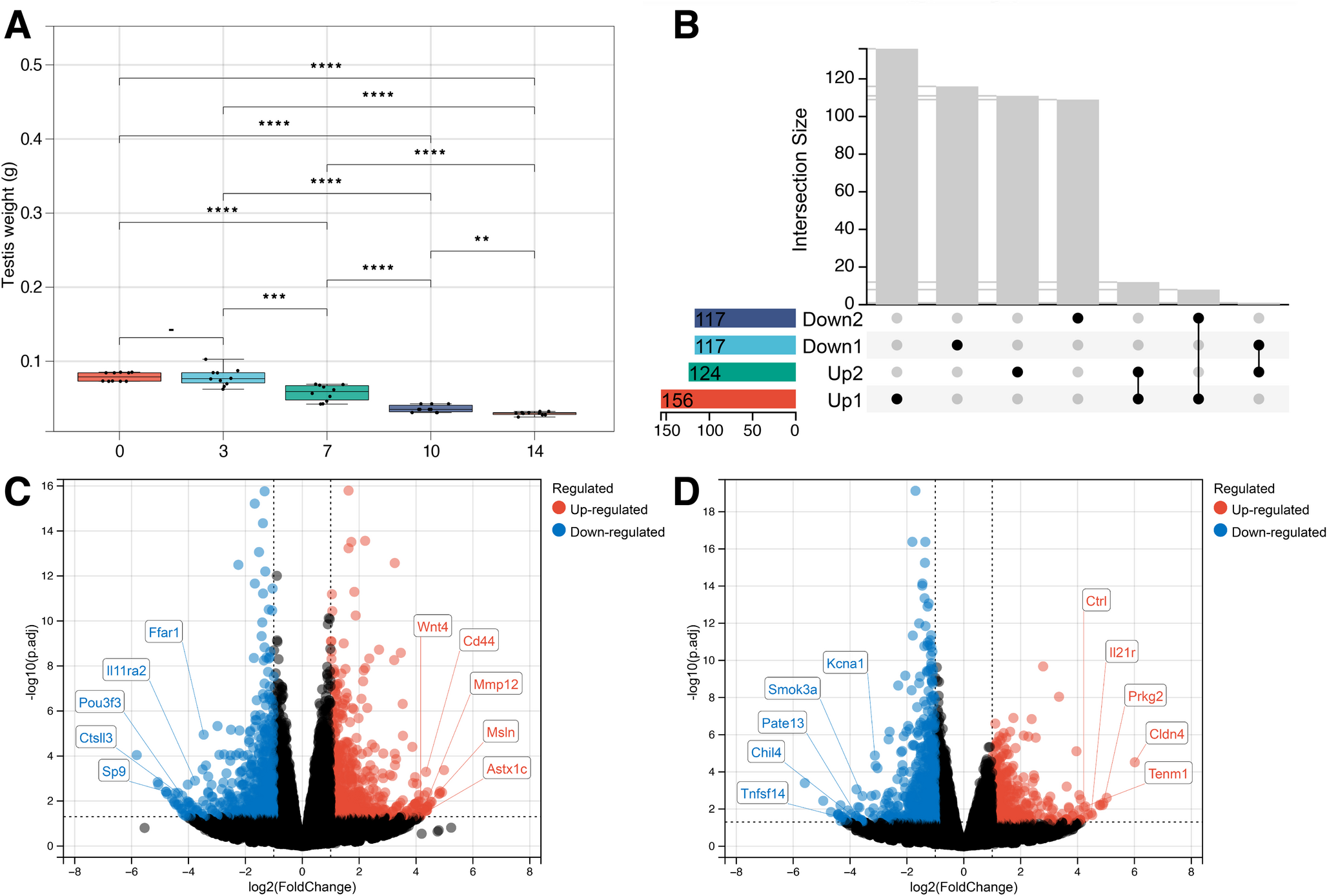 Somatic cell dysfunction precedes testicular degeneration in a surgical model of cryptorchidism