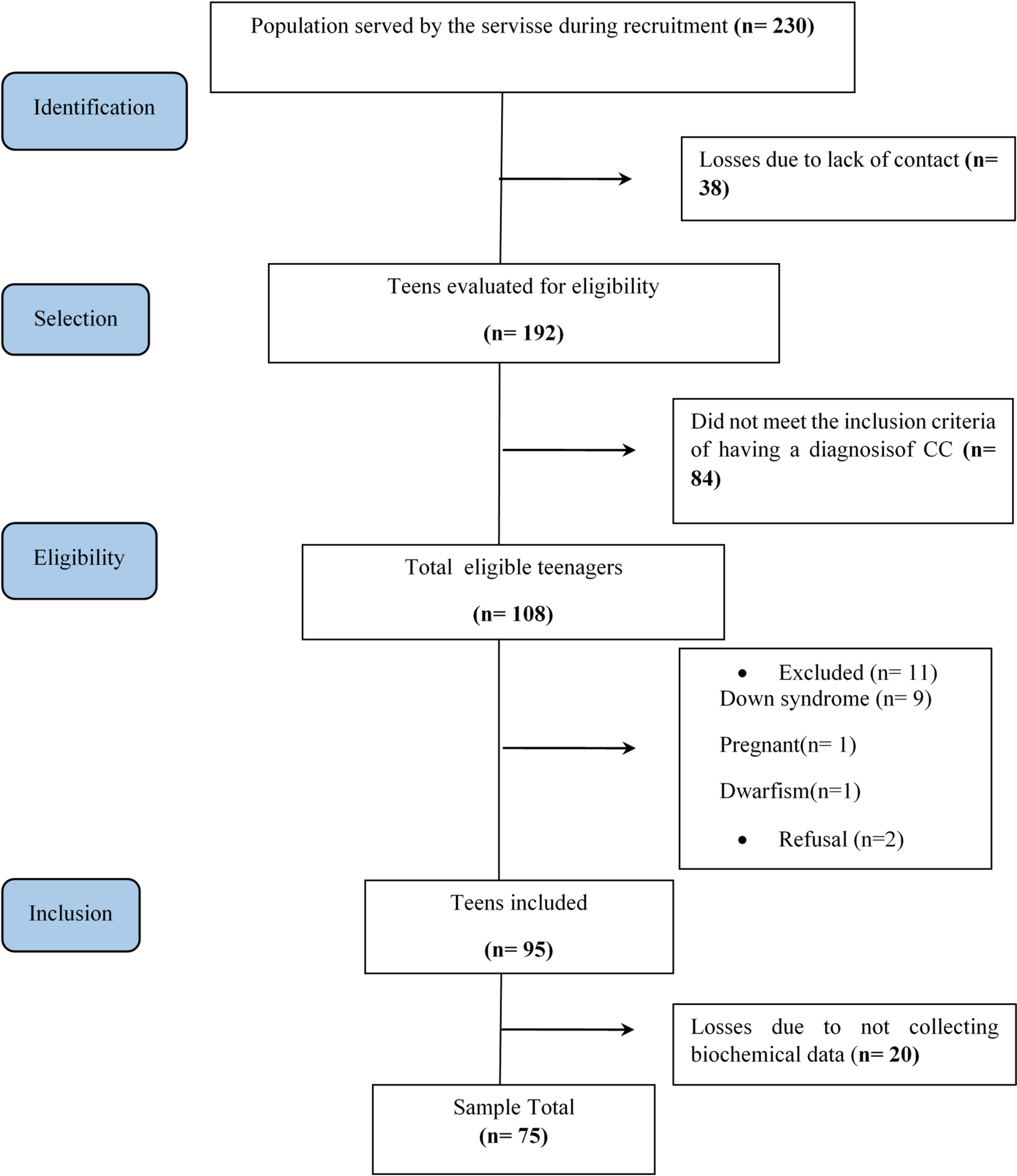 Cardiovascular Risk in Adolescents with Congenital Heart Disease Living in a Low-Income Region: Cross-Sectional Associations with Clinical, Behavioral and Sociodemographic Factors