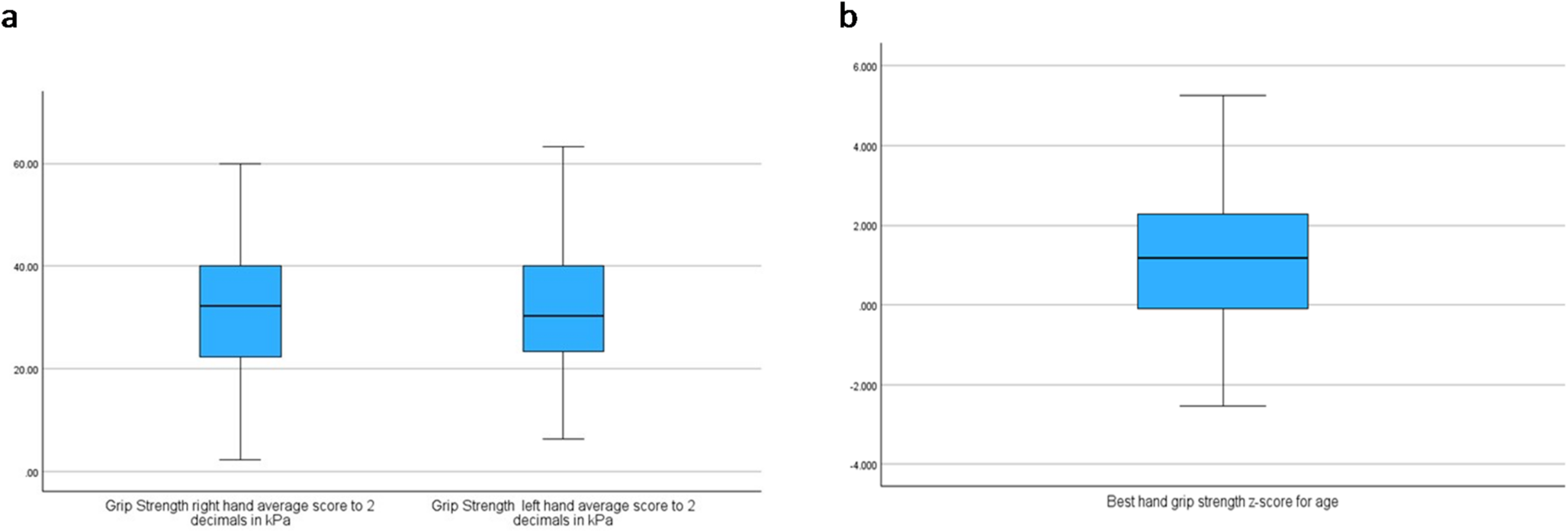 Hand Grip Strength at 4.5 Years of Age After Complex Cardiac Surgery in Early Infancy