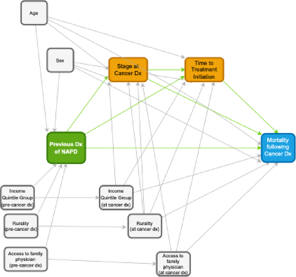 Mortality following cancer diagnosis among people with non-affective psychoses: mediation by stage at diagnosis and time to treatment initiation