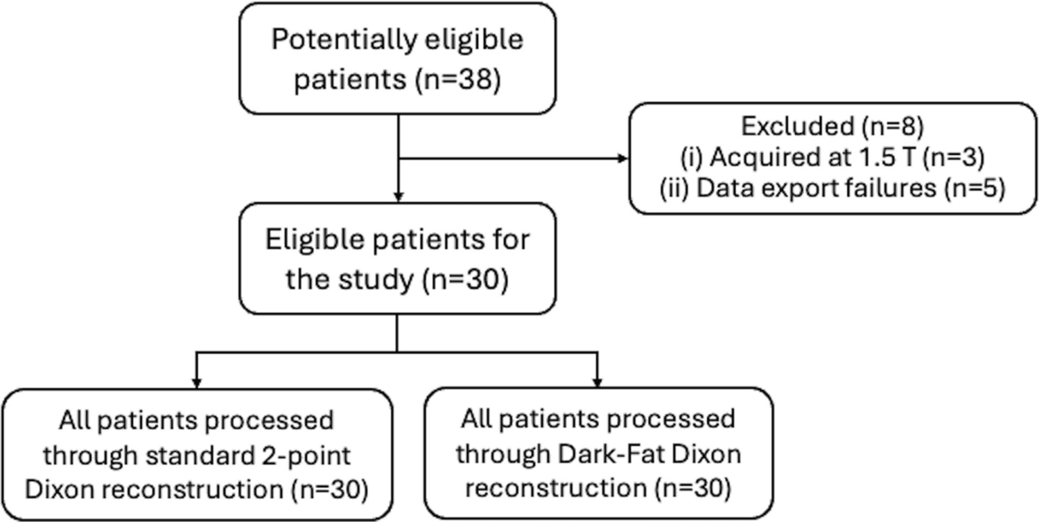 Efficient and complete fat suppression in two-point Dixon MR imaging: sequence considerations and assessment in lumbar plexus imaging