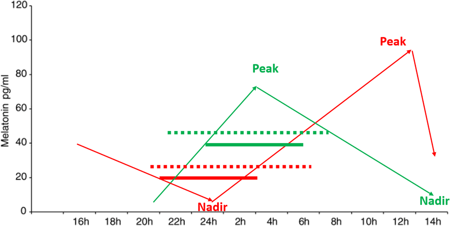 Sleep disorders in children with Smith-Magenis Syndrome – a neurodevelopmental disorder with sleep-wake-rhythm-dysfunction – recommendations for pediatricians
