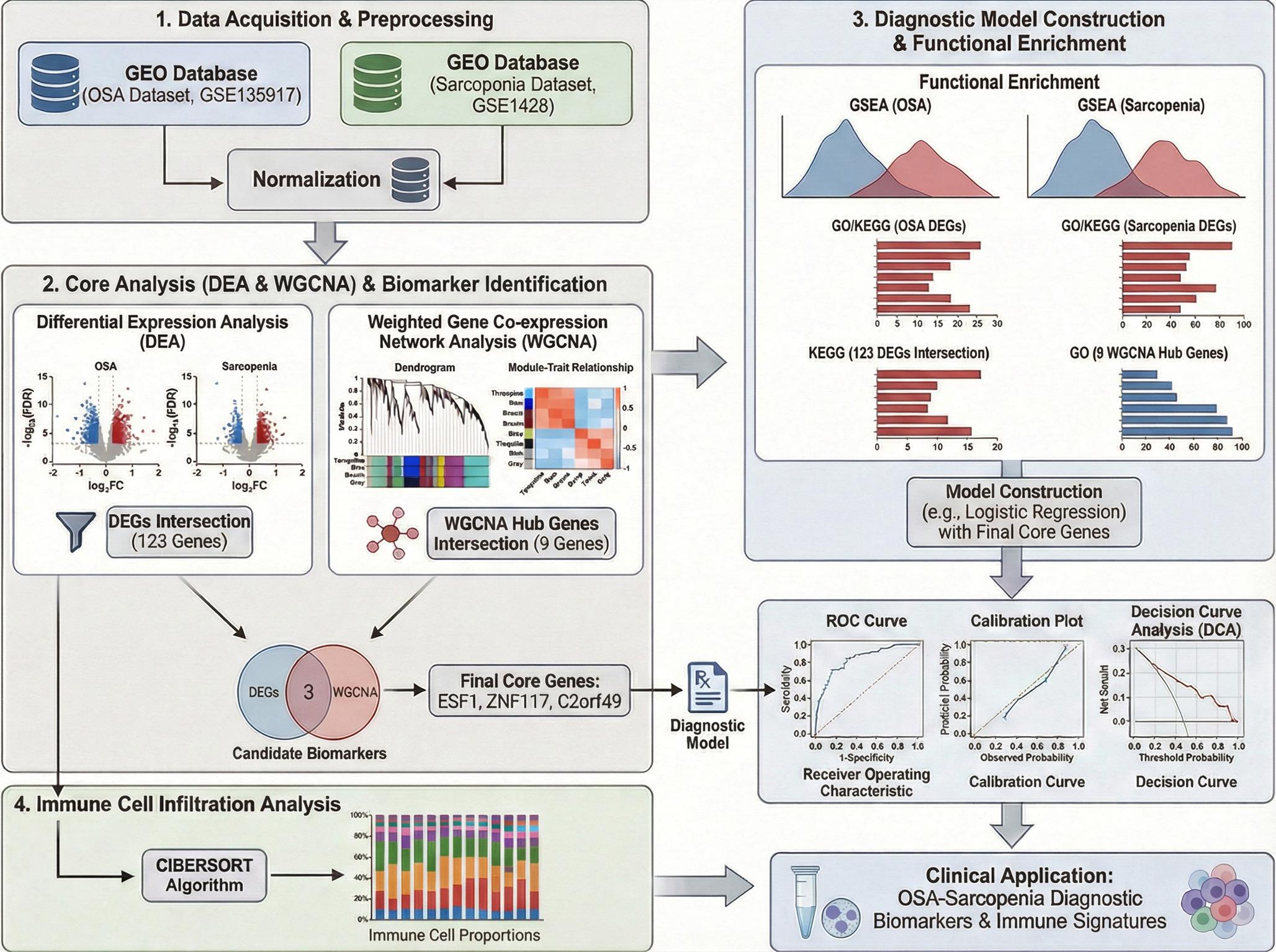 Identification of shared biomarkers for obstructive sleep apnea and sarcopenia via differential expression and WGCNA analysis
