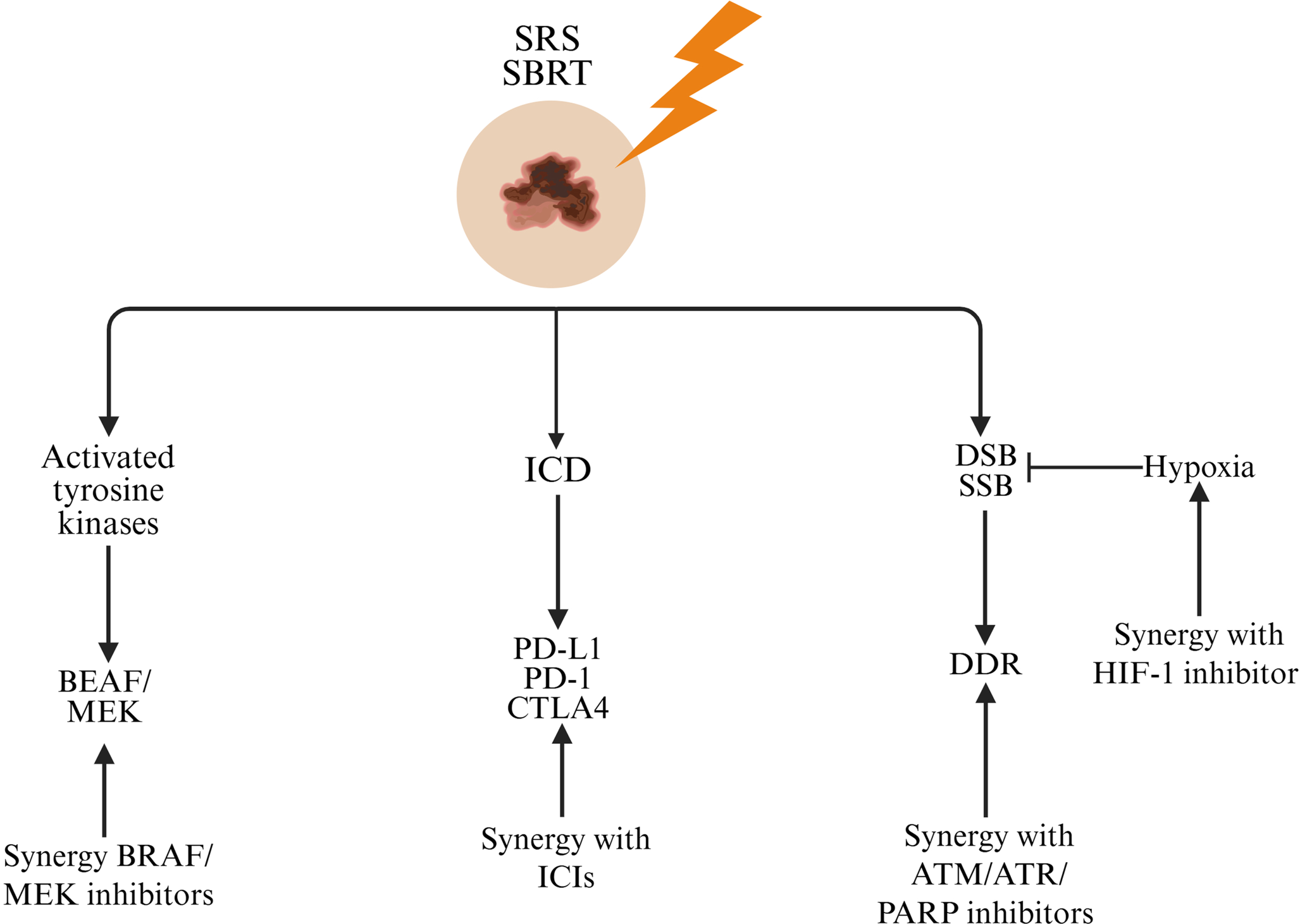 Integrated approaches to sensitizing melanoma to radiotherapy