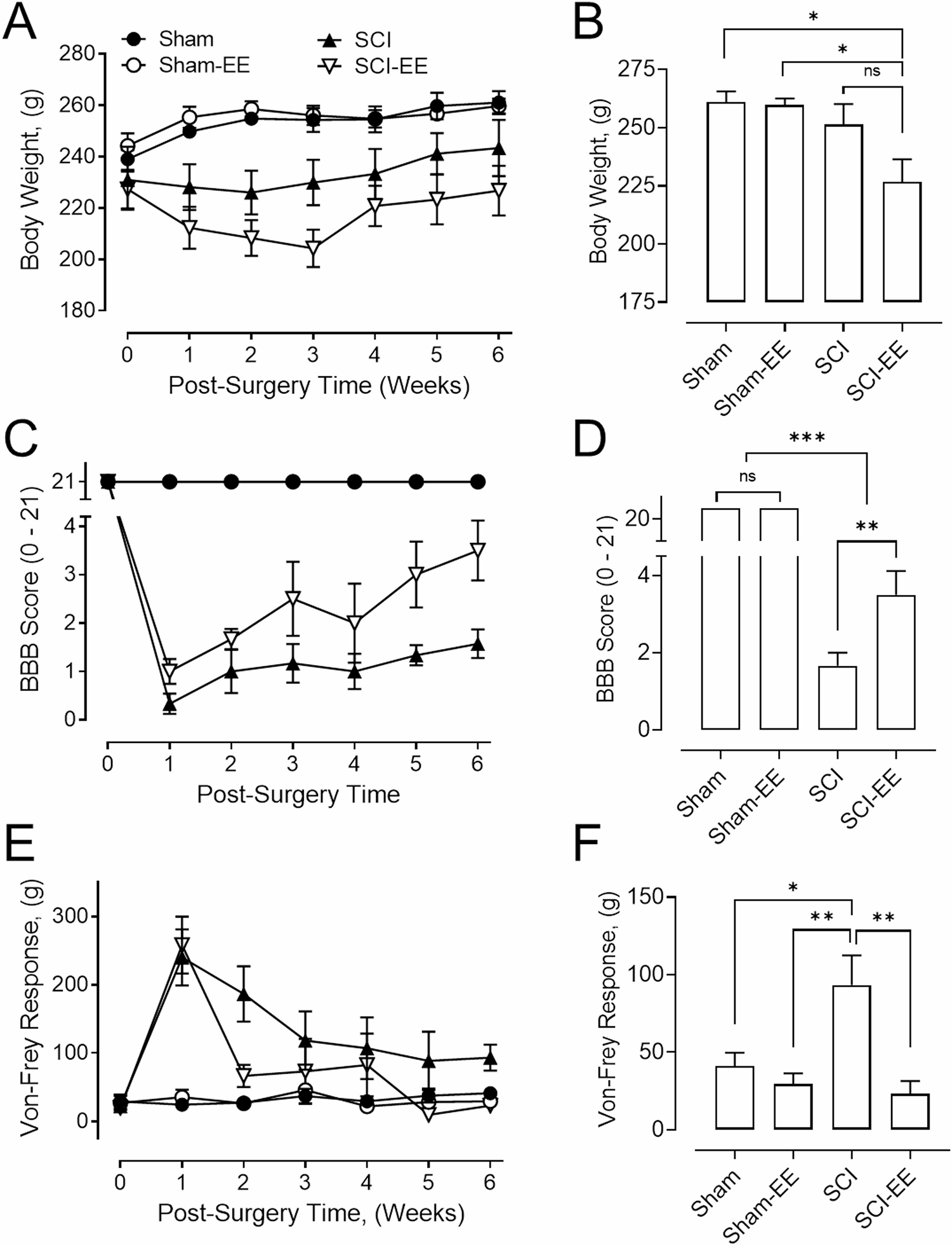 An environmental enrichment facilitates the recovery of lower urinary tract function after spinal cord injury through downmodulation of neurogenic activity in female rats