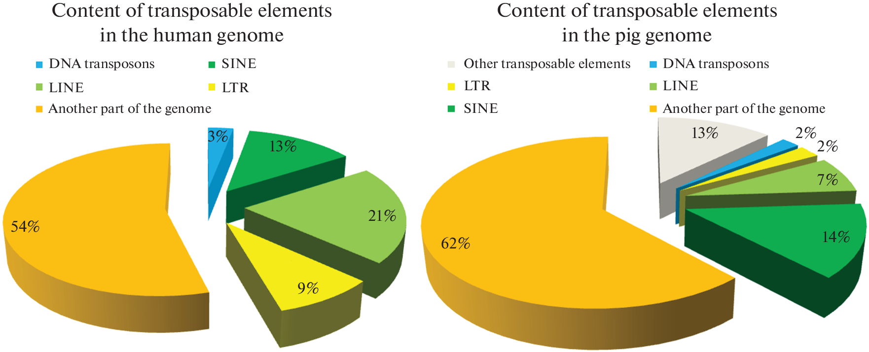 The Role of Transposable Elements in the Development of Aggressive Behavior in Pigs
