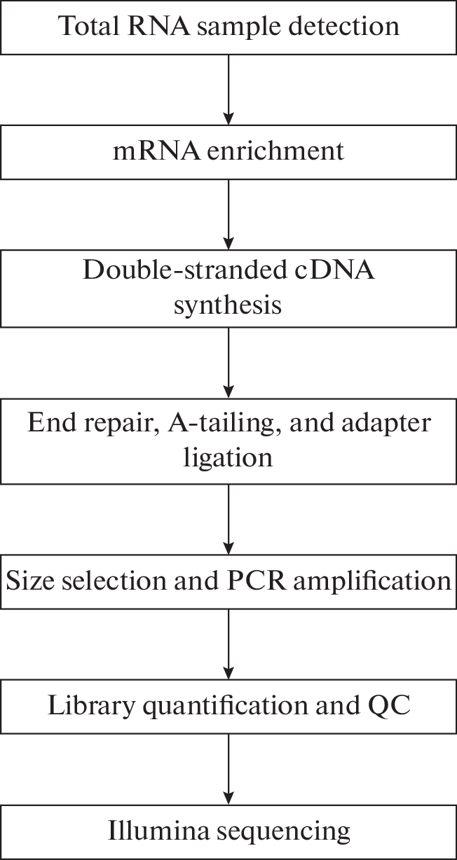 Transcriptomic Identification and Validation of 5/18 Associated with Cashmere Fiber Fineness in Yanshan Cashmere Goats