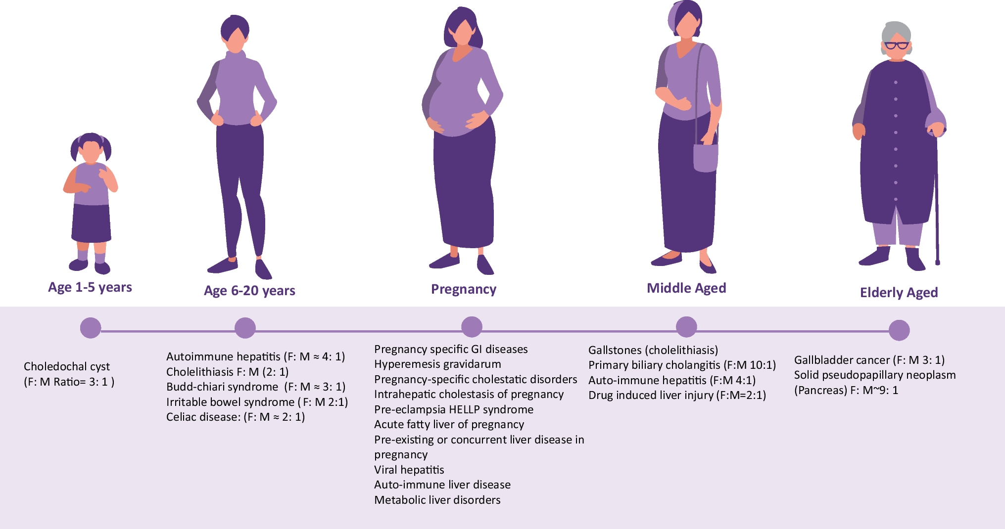 Gastroenterology through a gender lens: Clinical and professional perspectives