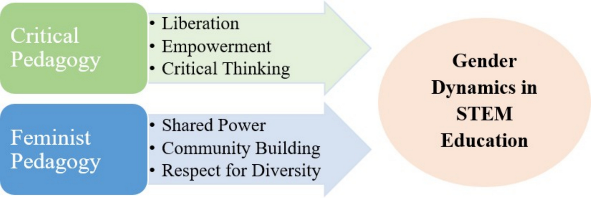 Gender Dynamics in STEM Education: Investigating Educational Experiences in Bangladesh