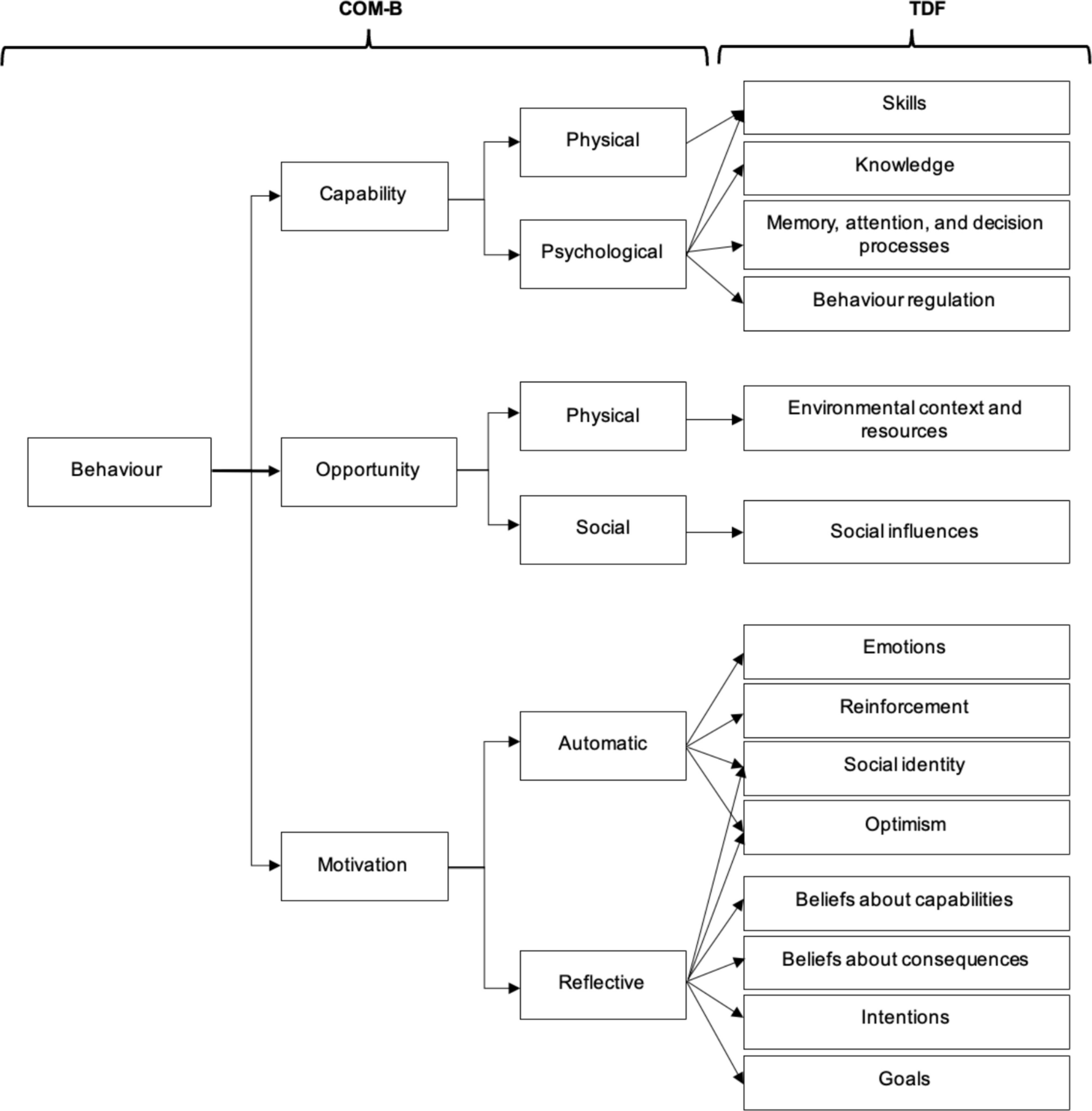 A systematic review of patient and healthcare professional perceptions of the barriers and facilitators to embedding exercise in the adjuvant cancer treatment pathway