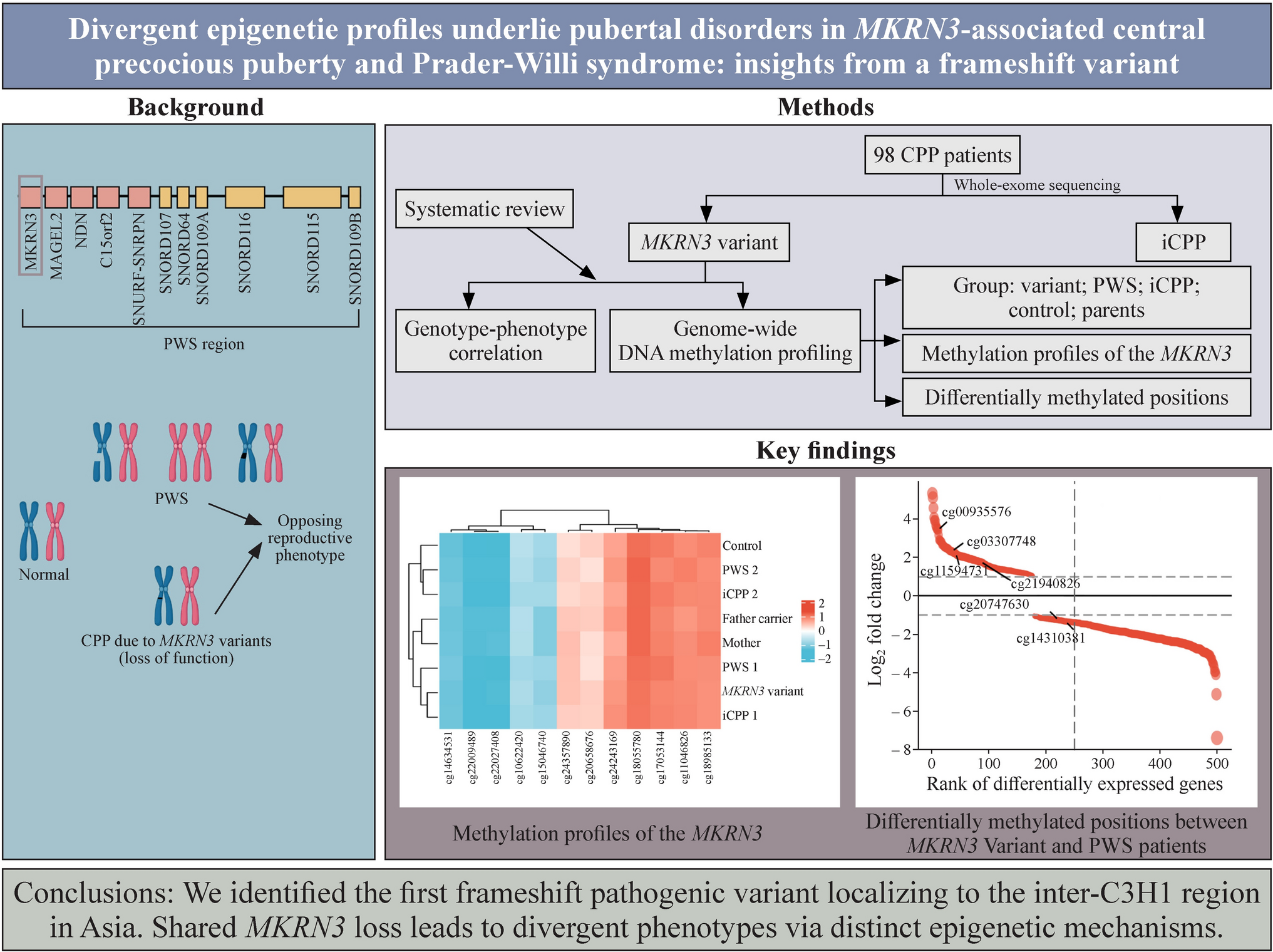 Divergent epigenetic profile underlie pubertal disorders in -associated central precocious puberty and Prader–Willi syndrome: insights from a frameshift variant