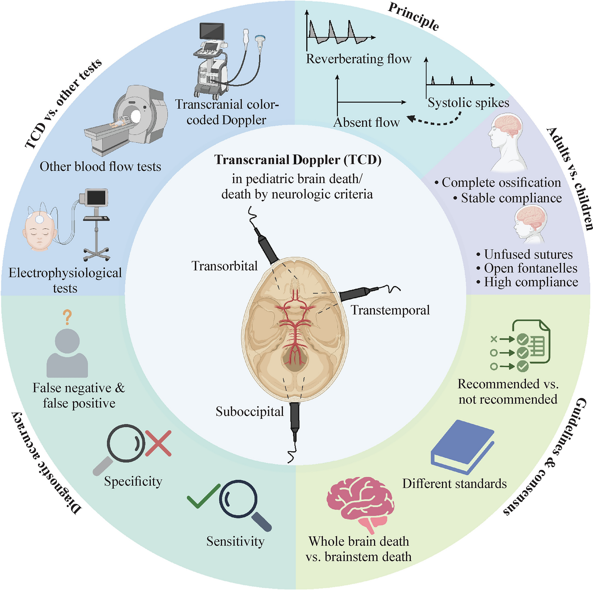 Use of transcranial Doppler to determine brain death or death by neurologic criteria in children: a narrative review