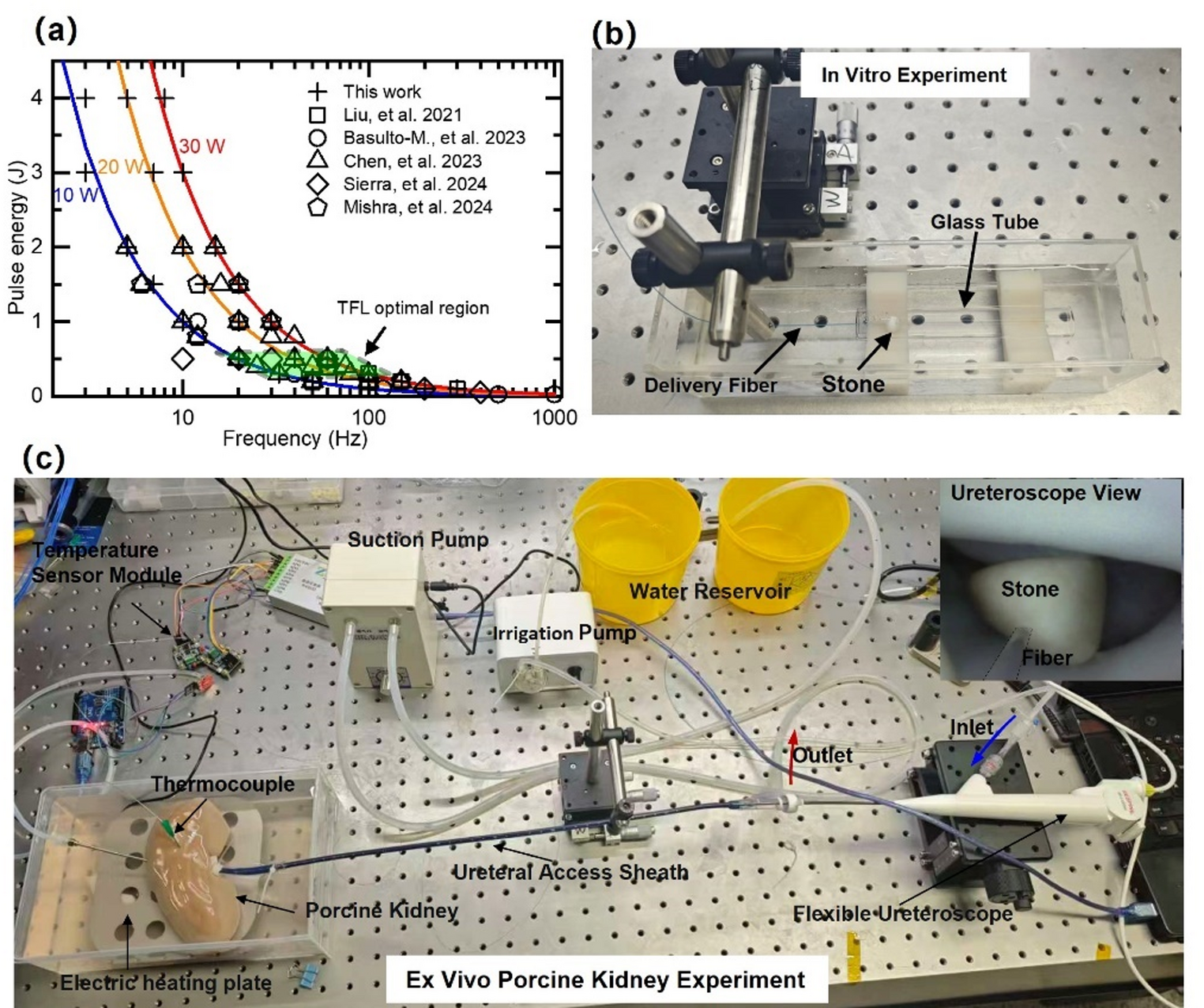Optimal thulium fiber laser parameters for non-impacted stone lithotripsy: an in-vitro and ex-vivo evaluation