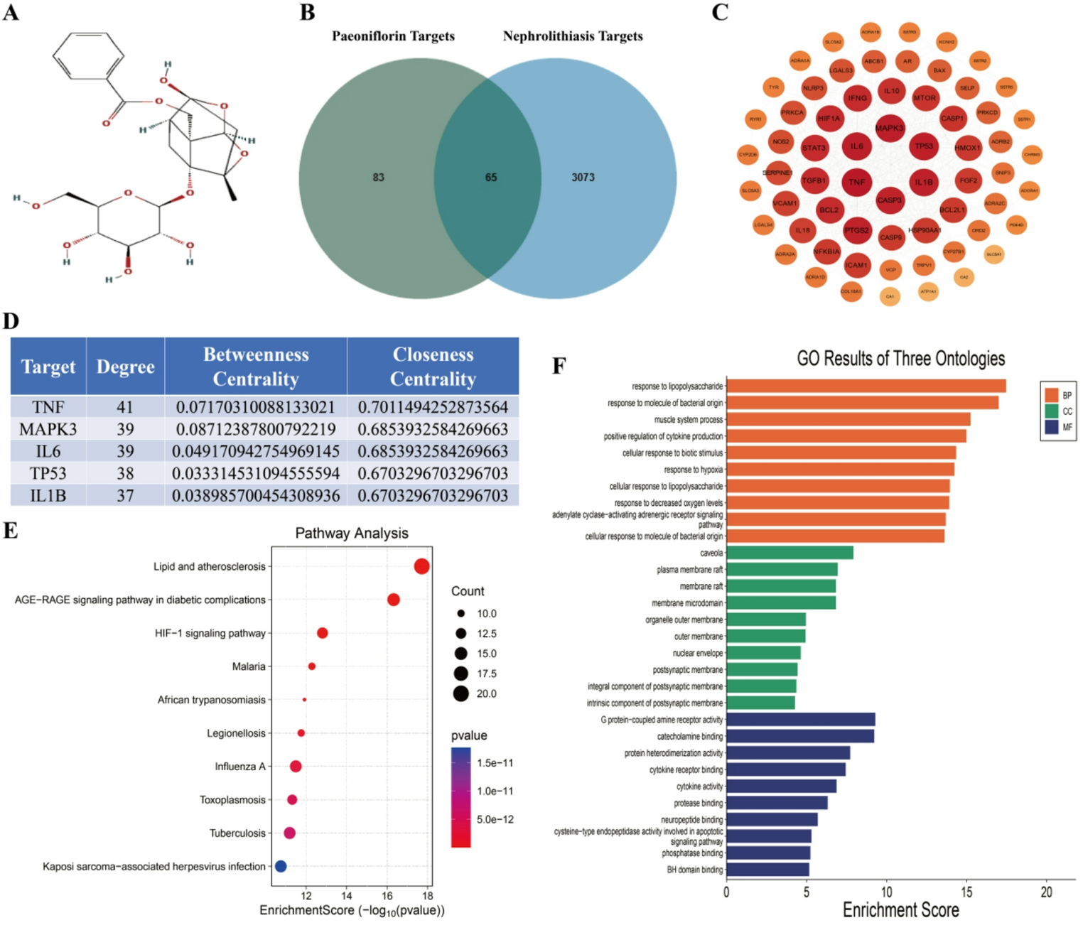 Paeoniflorin alleviates nephrolithiasis by targeting serpine1 and inhibiting the NF-κB signaling pathway