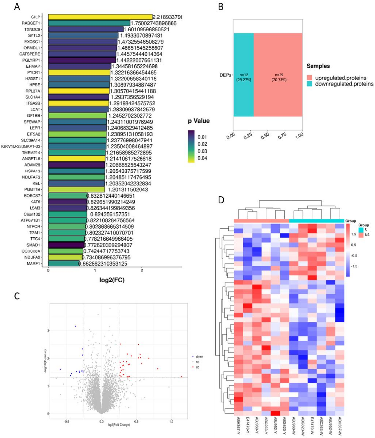 Proteomic analysis of stone-containing and non-stone human renal papillae reveals novel insights and therapeutic targets