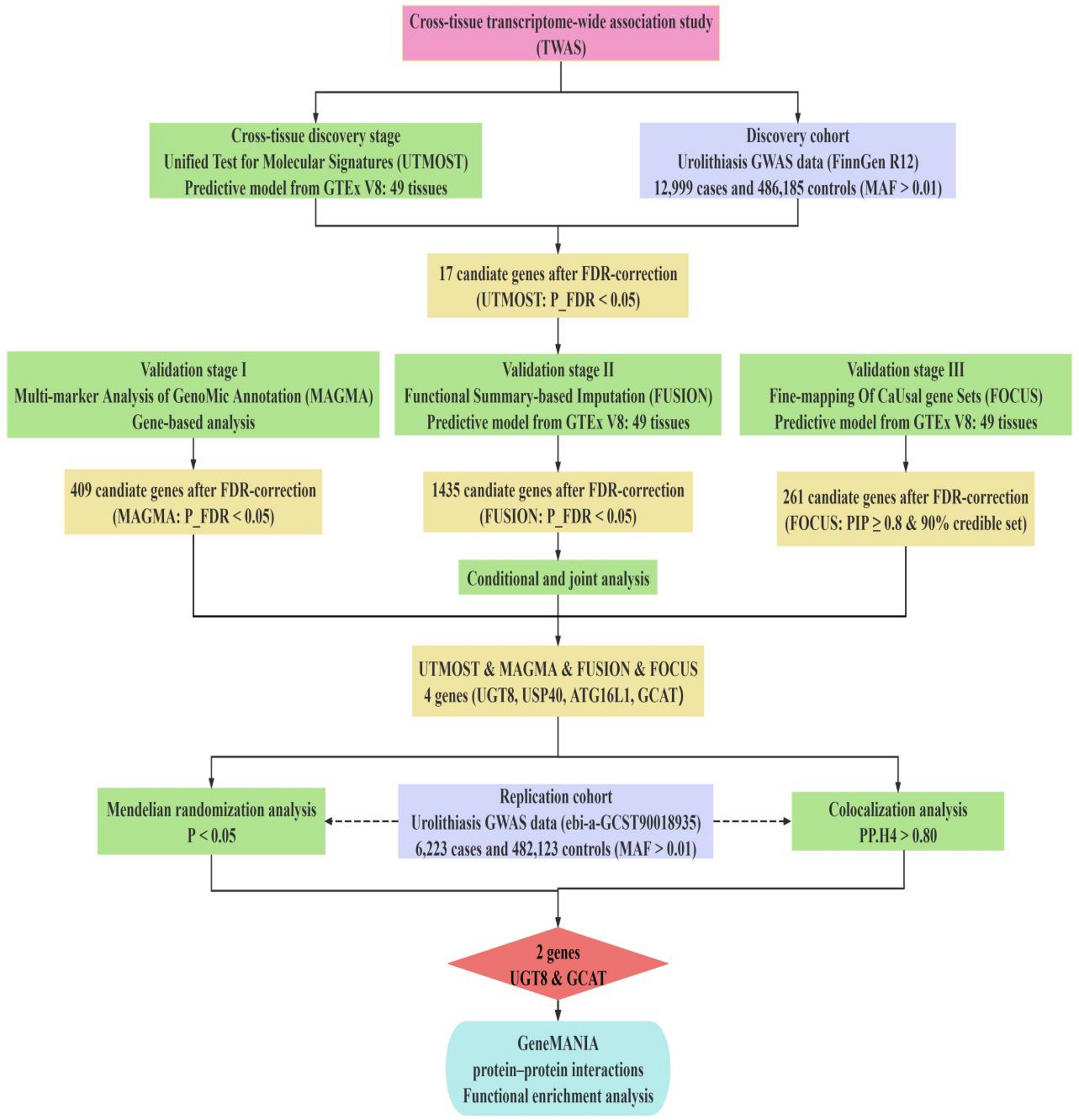 Integrative multi-layer genetic analysis identifies novel susceptibility genes for urolithiasis