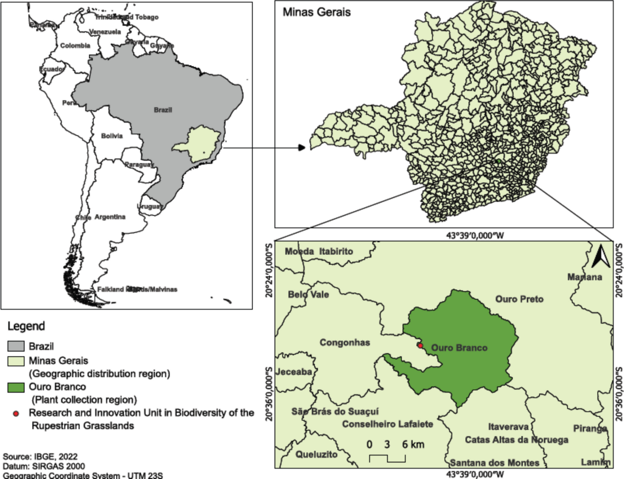 Sterilization and gas exchange on  cultivation of  (Mart.) Wiehler: production of seedlings from an endangered species
